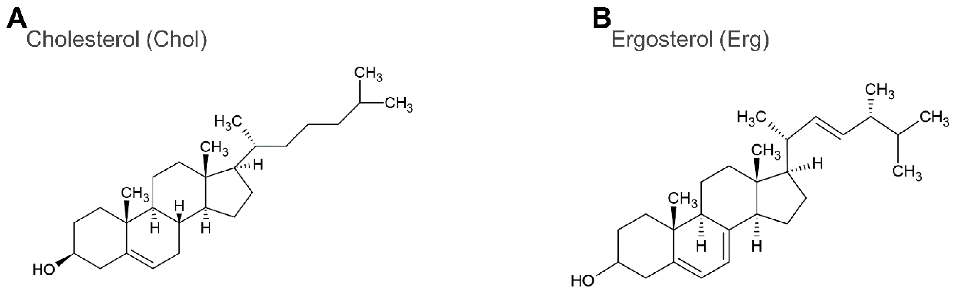 Membranes 12 01121 g002 Membranes 12 01121 g002
