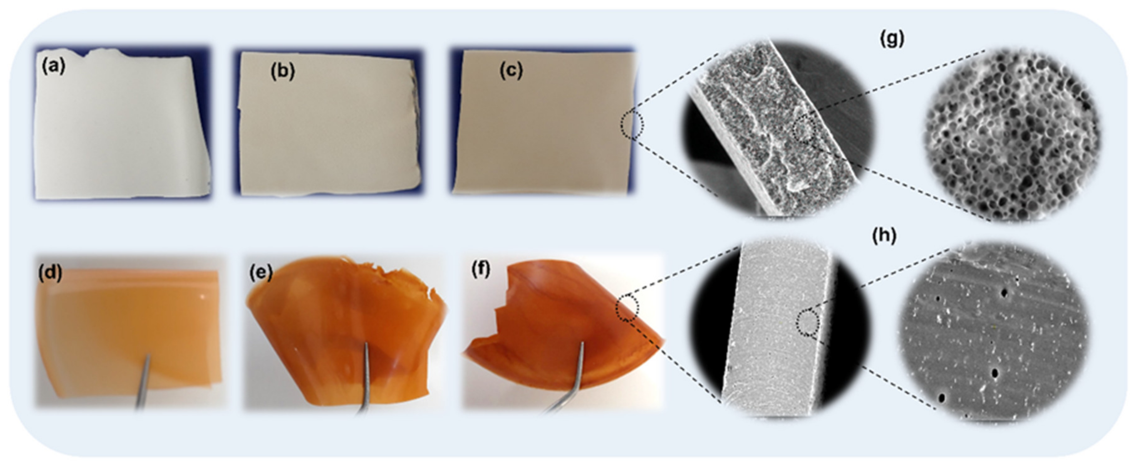 Membranes 12 01127 g005 Membranes 12 01127 g005