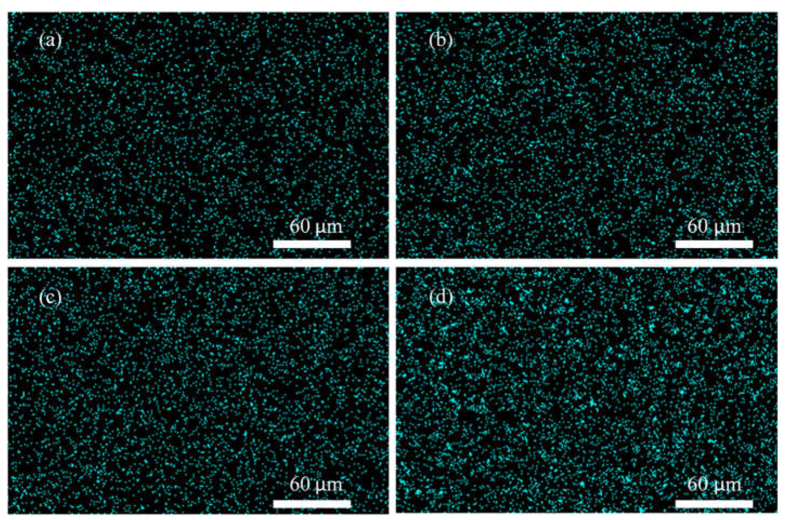 Membranes 12 01129 g003 Membranes 12 01129 g003