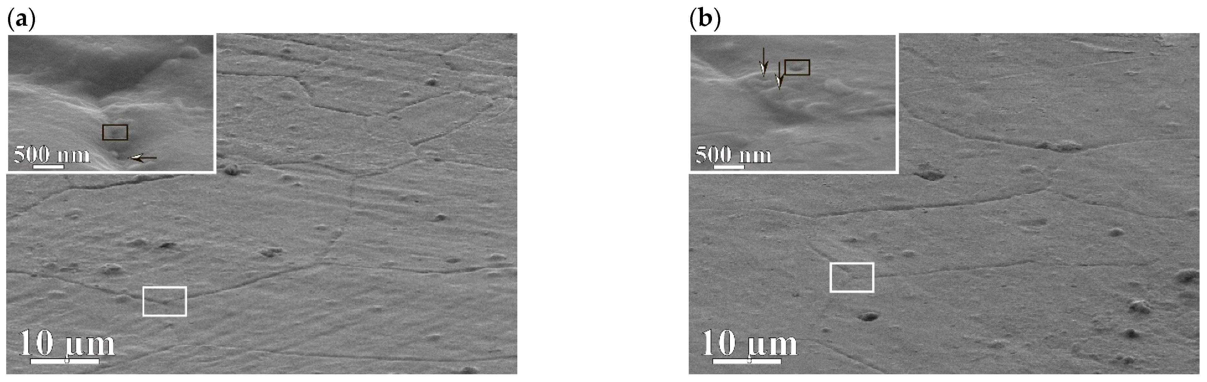 Membranes 12 01132 g005a Membranes 12 01132 g005a