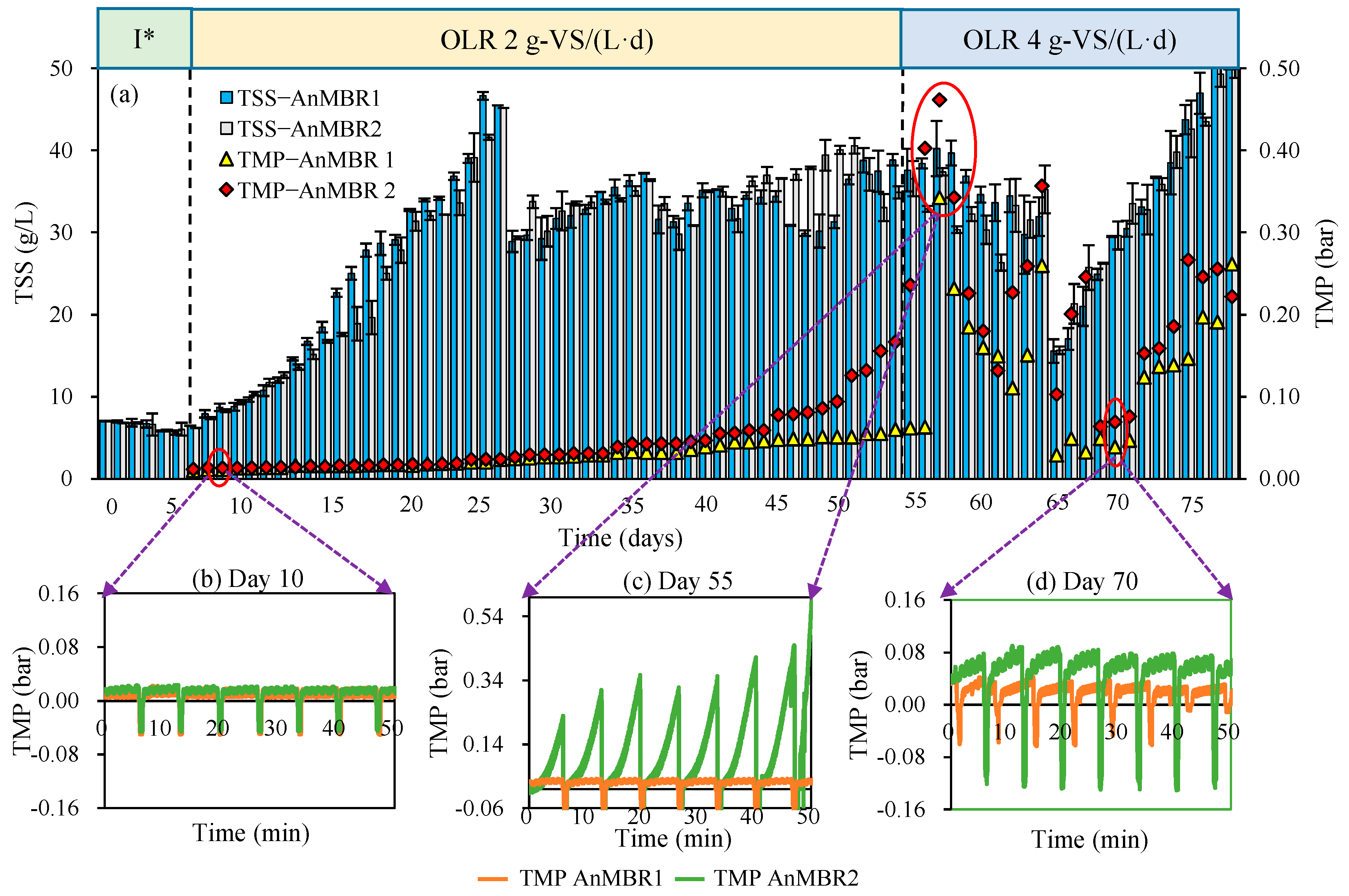 Membranes 12 01133 g005 Membranes 12 01133 g005