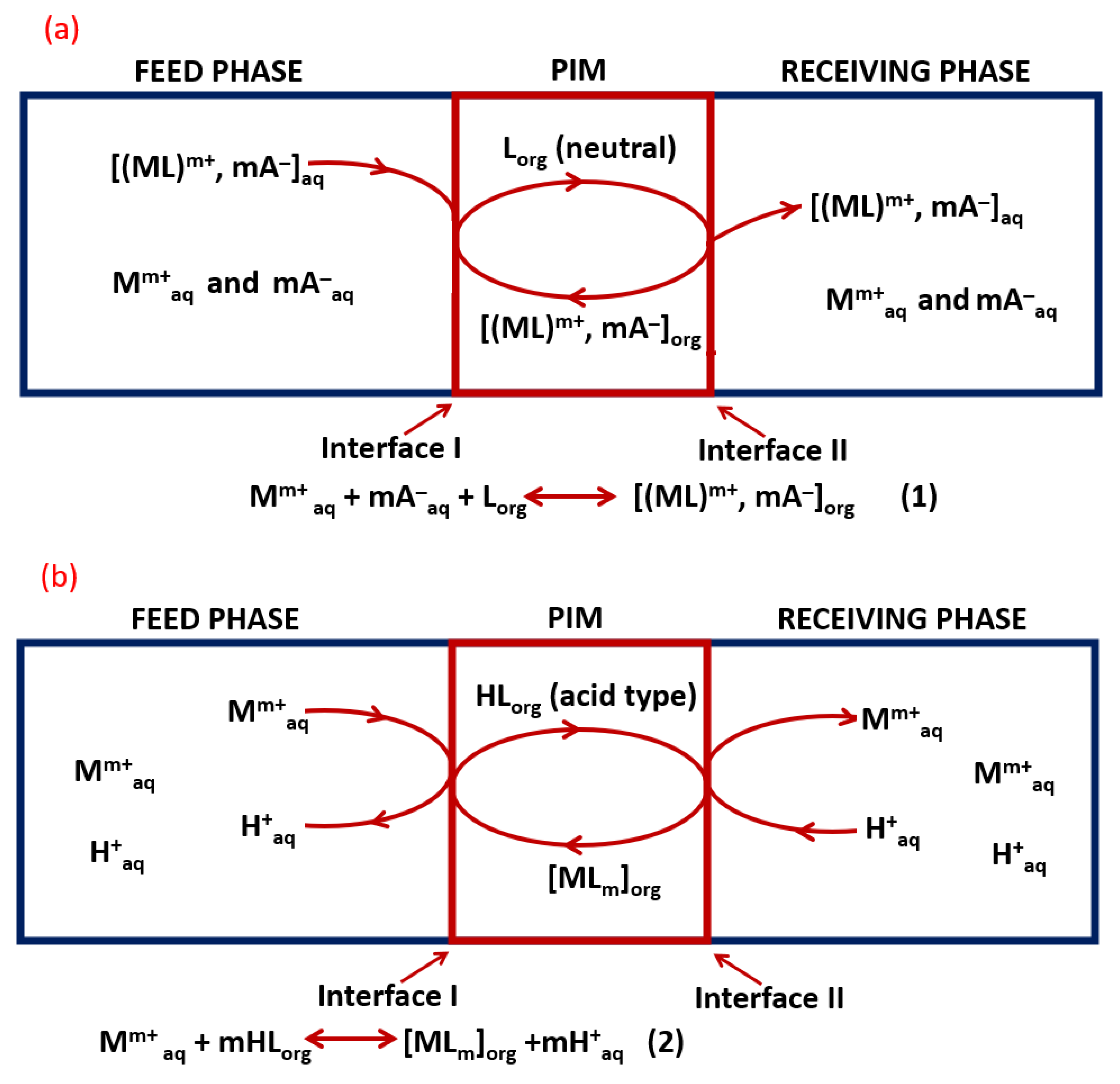 Membranes 12 01135 g001 Membranes 12 01135 g001