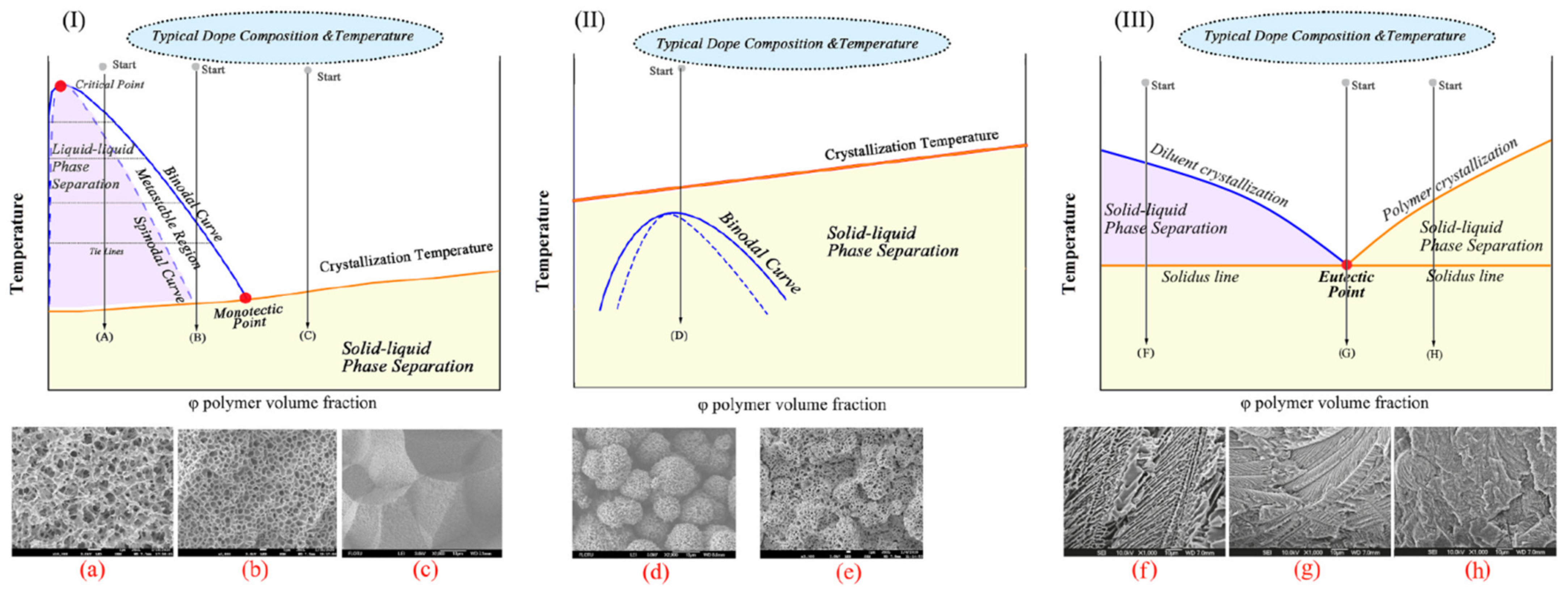 Membranes 12 01137 g004 Membranes 12 01137 g004