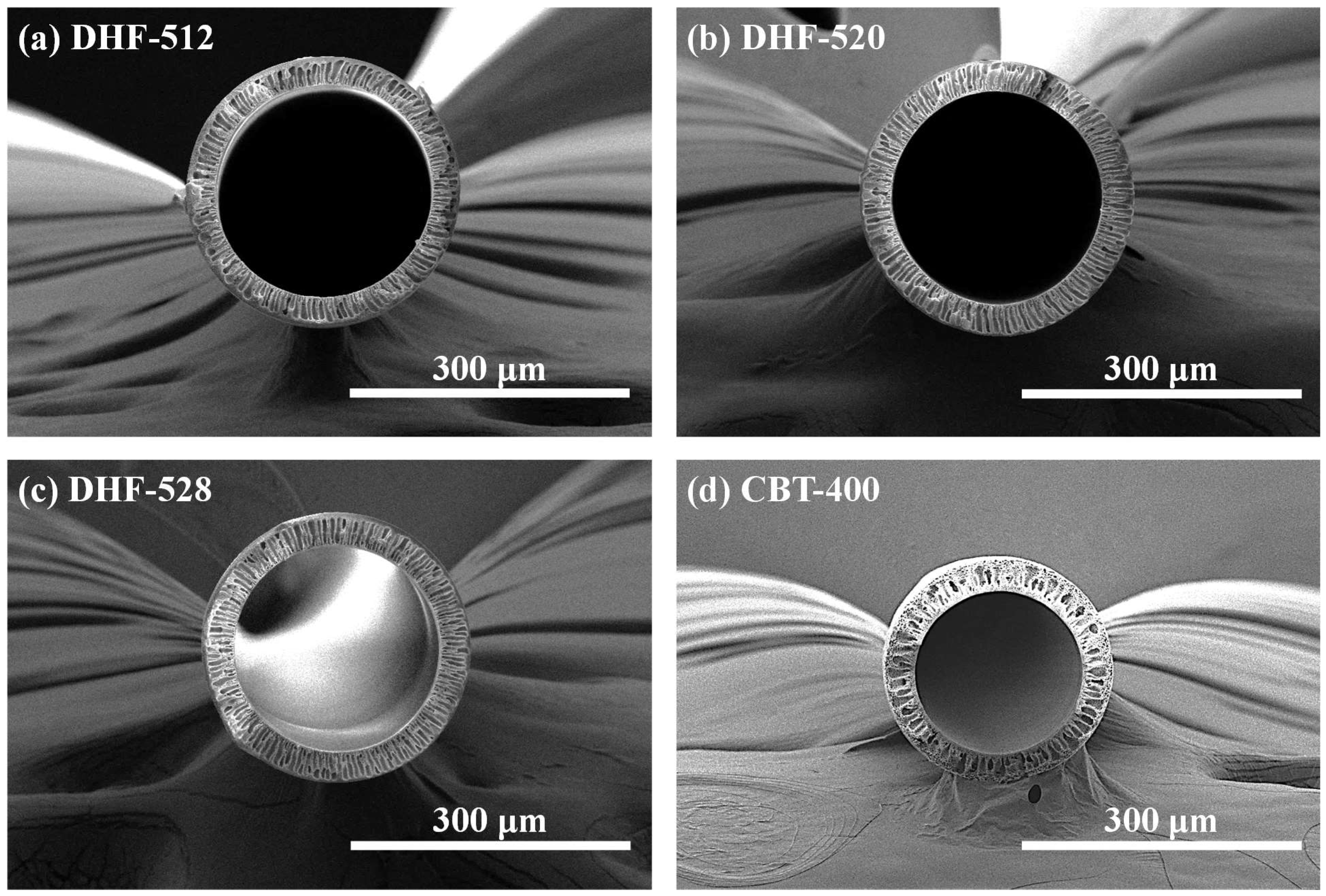 Membranes 12 01140 g003 Membranes 12 01140 g003