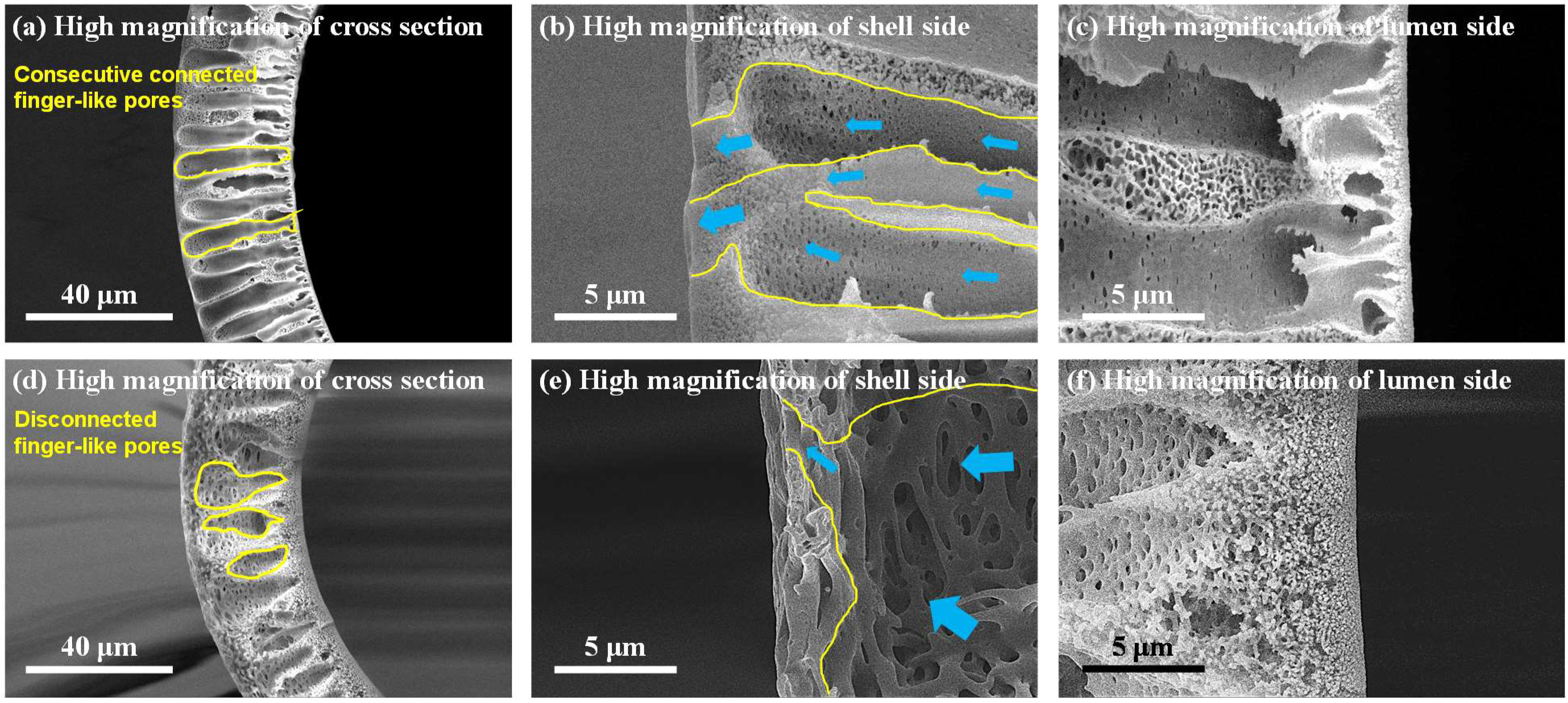 Membranes 12 01140 g005 Membranes 12 01140 g005