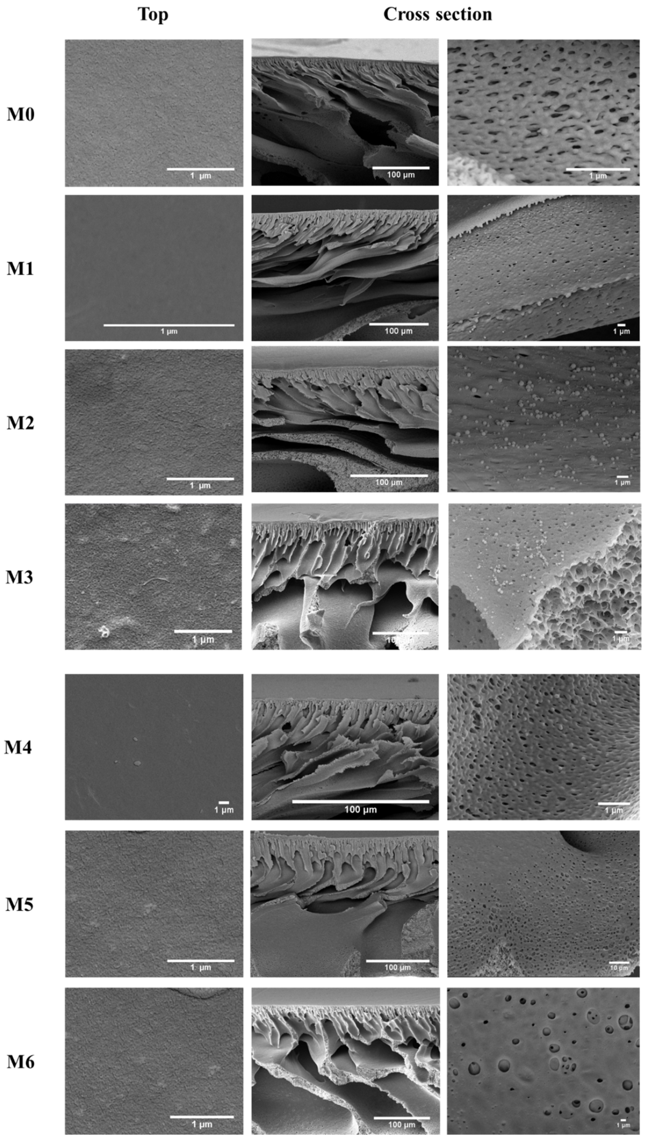 Membranes 12 01143 g004