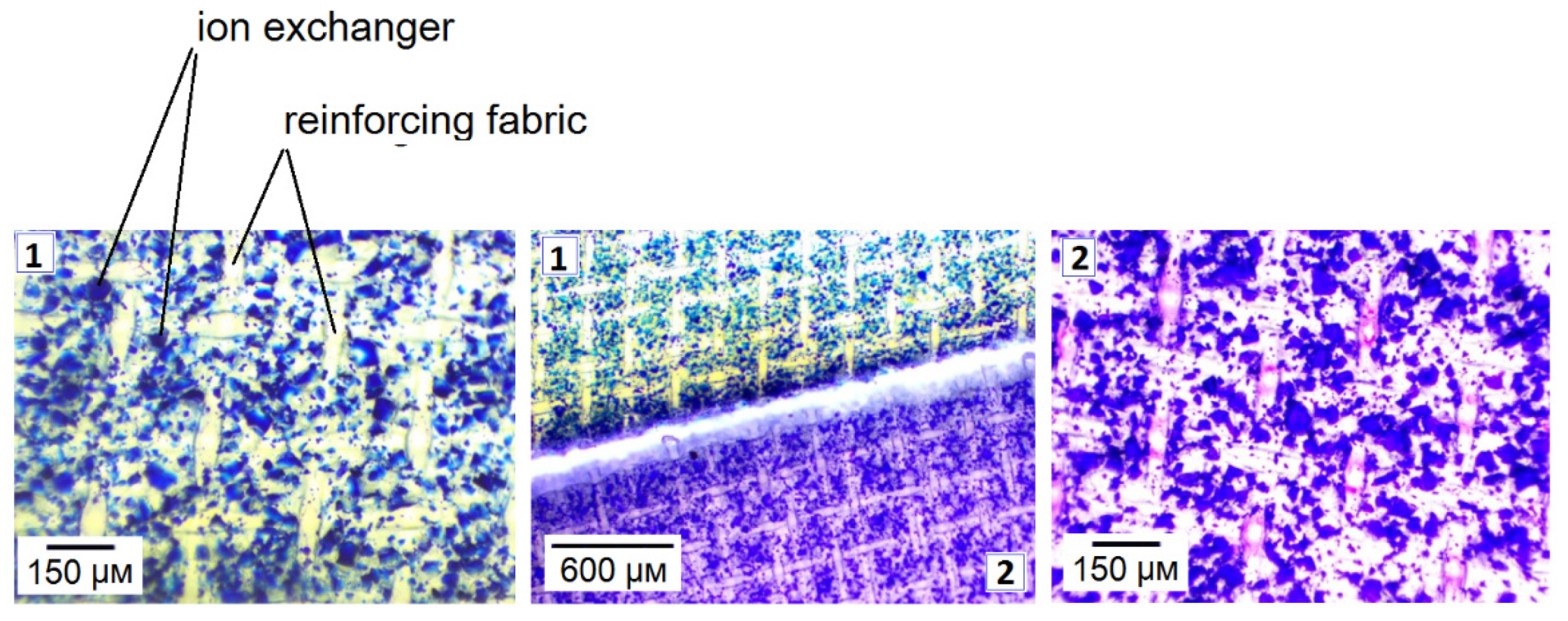 Membranes 12 01144 g010 Membranes 12 01144 g010