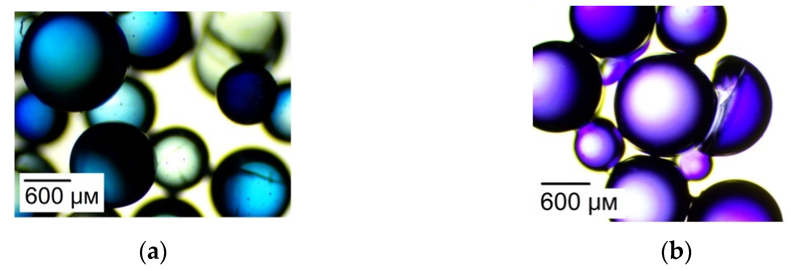 Membranes 12 01144 g011 Membranes 12 01144 g011