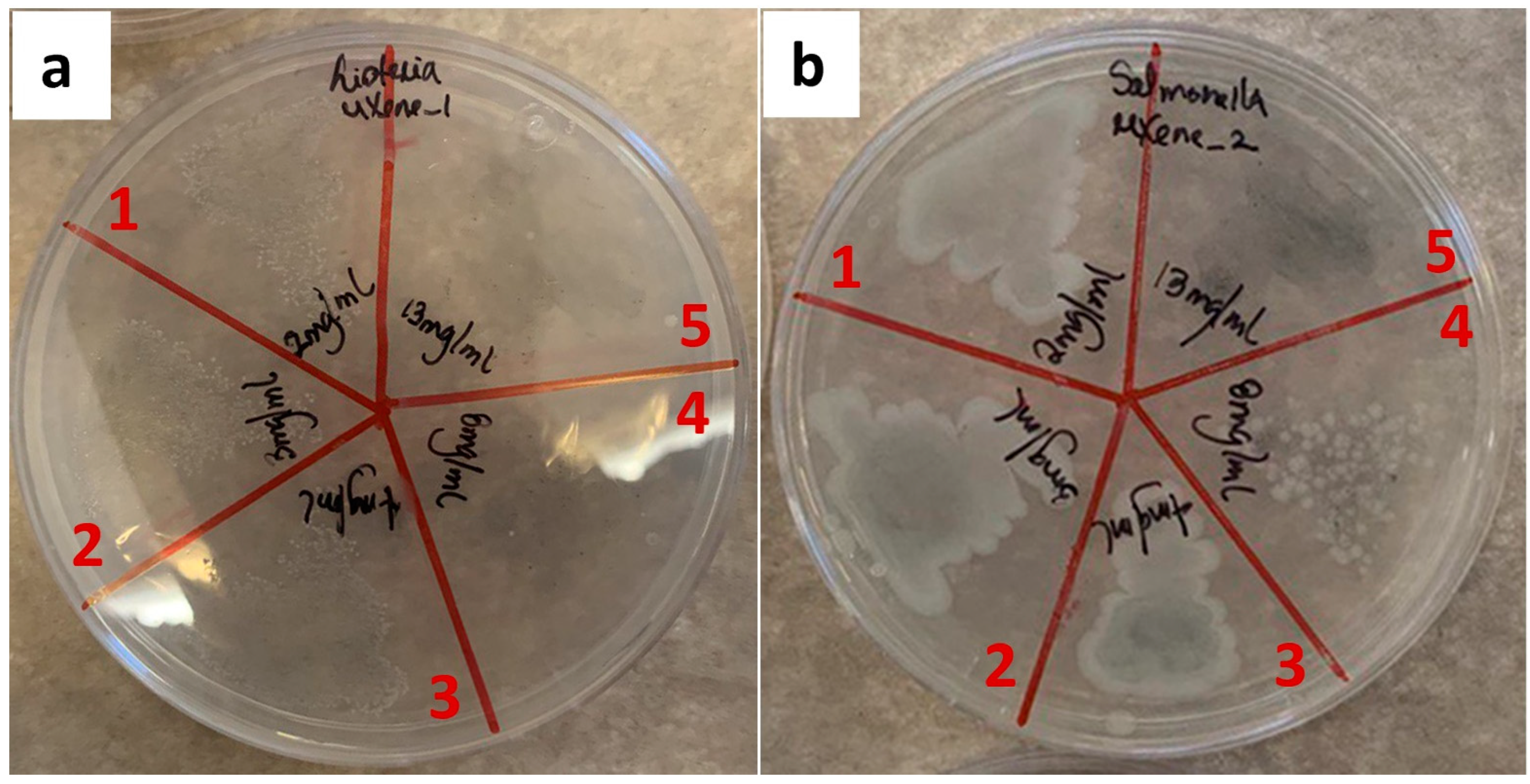 Membranes 12 01146 g002 Membranes 12 01146 g002