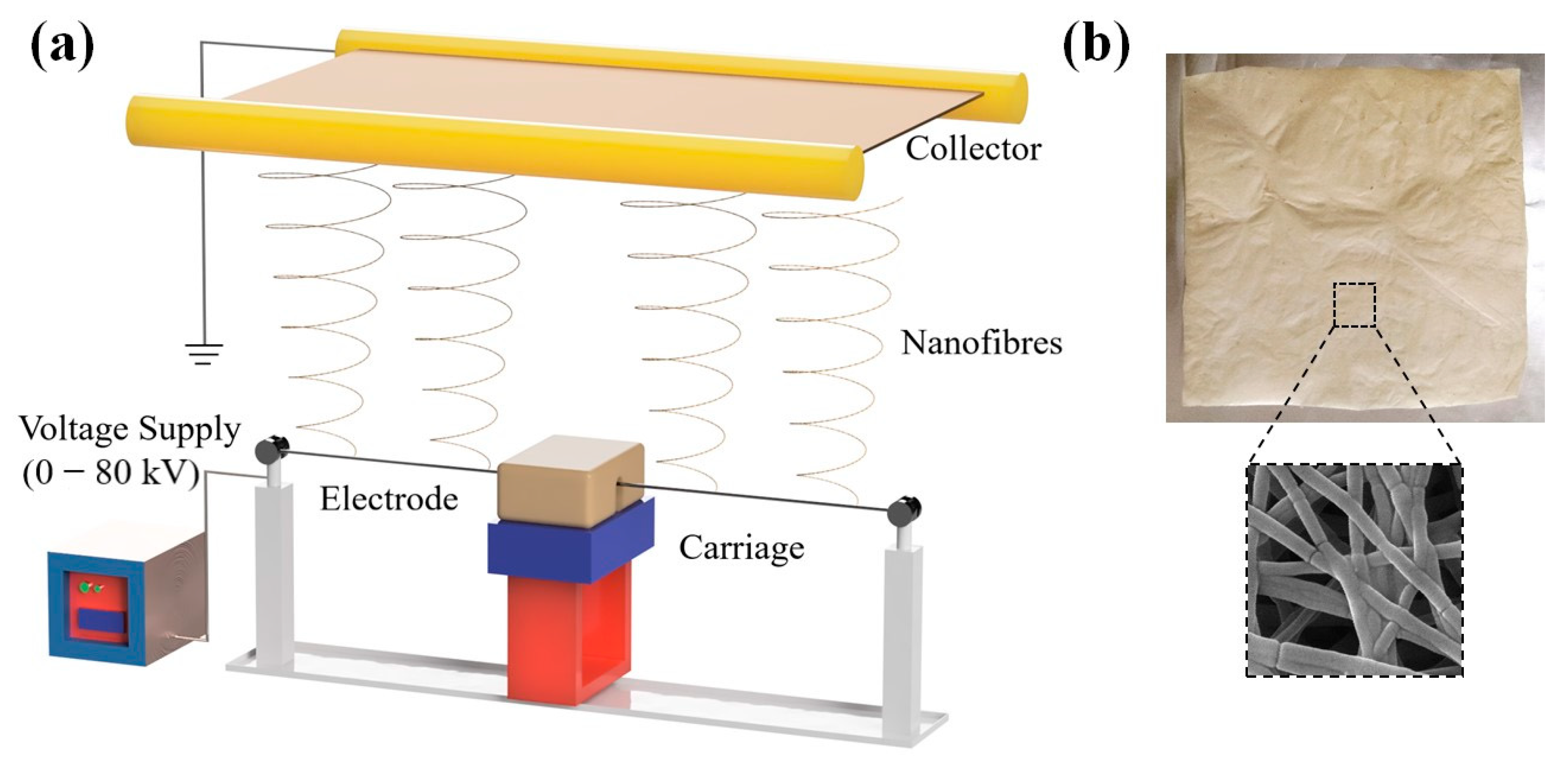 Membranes 12 01148 g002 Membranes 12 01148 g002