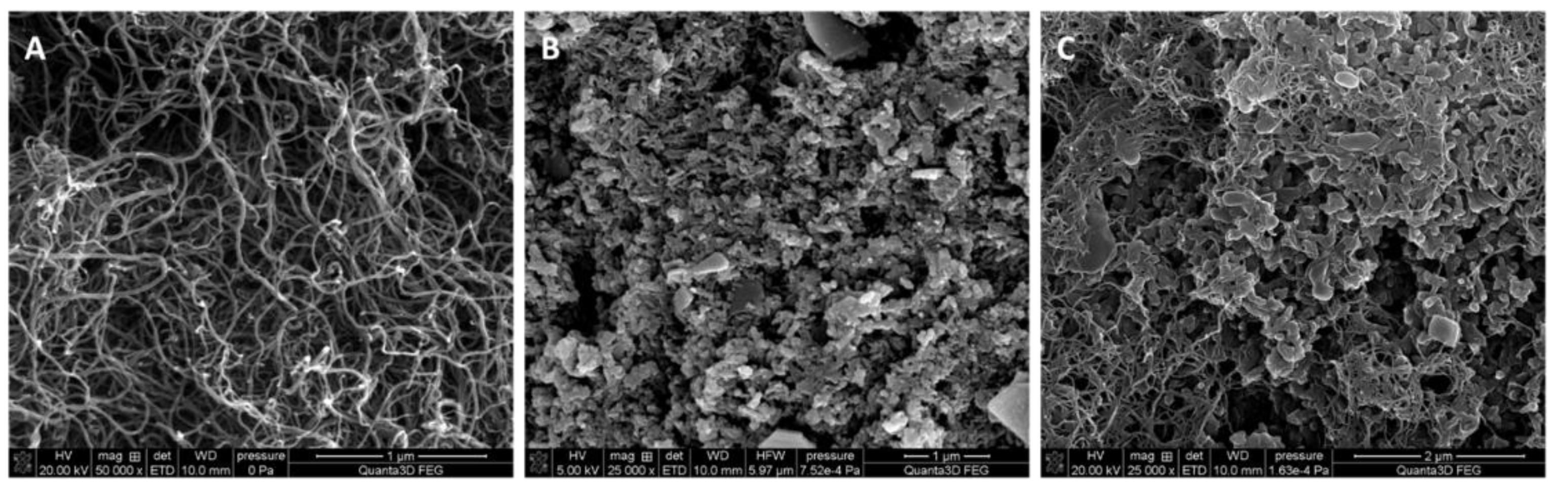 Membranes 12 01150 g001