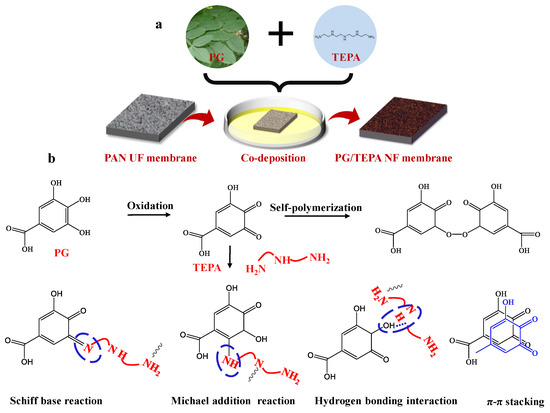 Characteristic and mechanism of biological nitrogen and