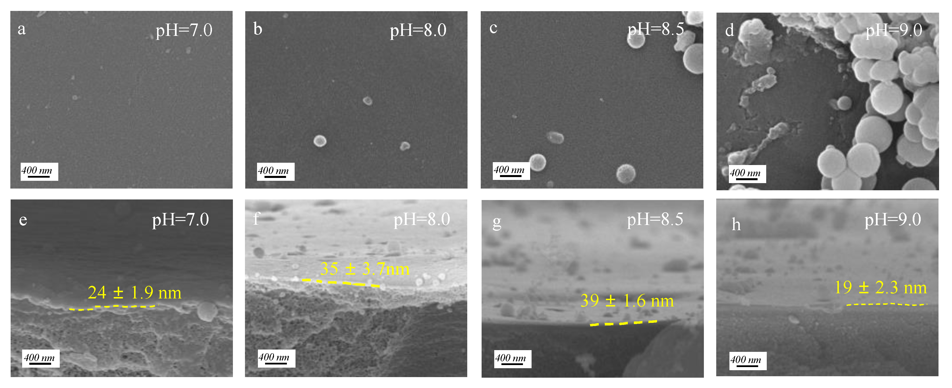 Membranes 12 01151 g004 Membranes 12 01151 g004