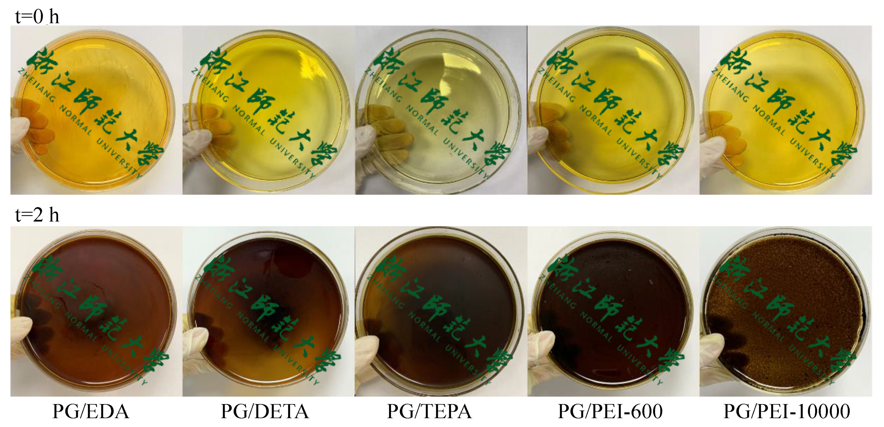 Plant Polyphenol Pyrogallol and Polyamine-Based Co