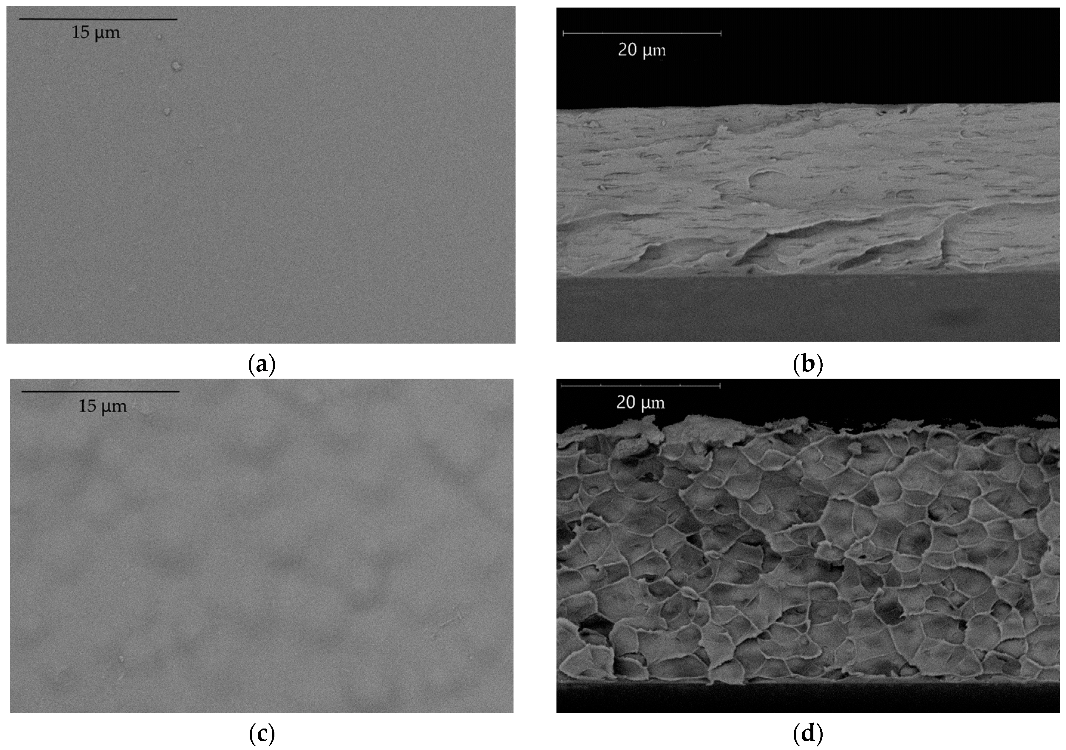 Membranes 12 01160 g003