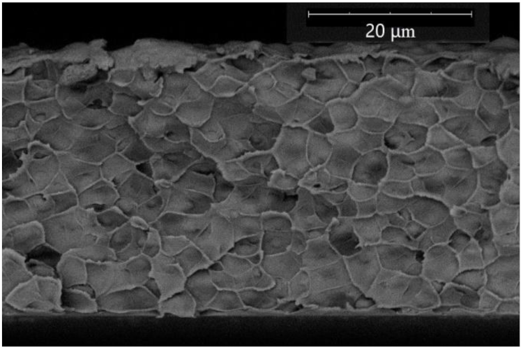 Membranes 12 01160 i010