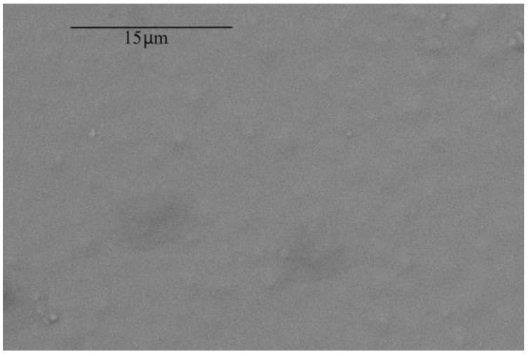 Membranes 12 01160 i011