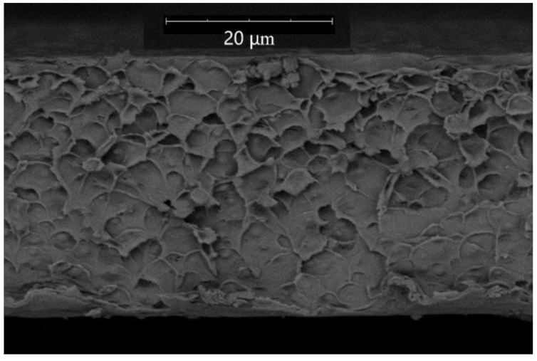Membranes 12 01160 i012