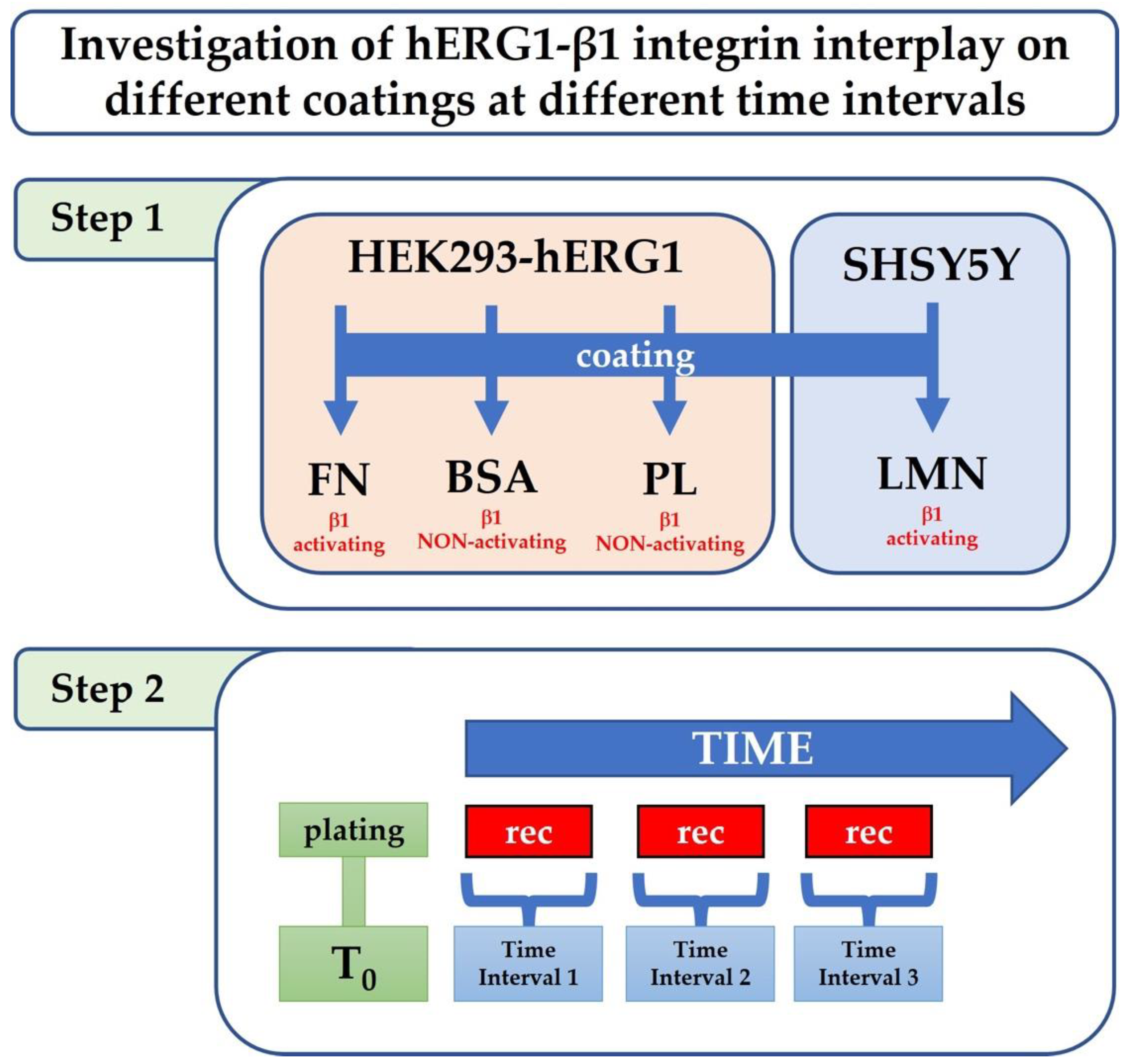 Membranes 12 01162 g001 Membranes 12 01162 g001
