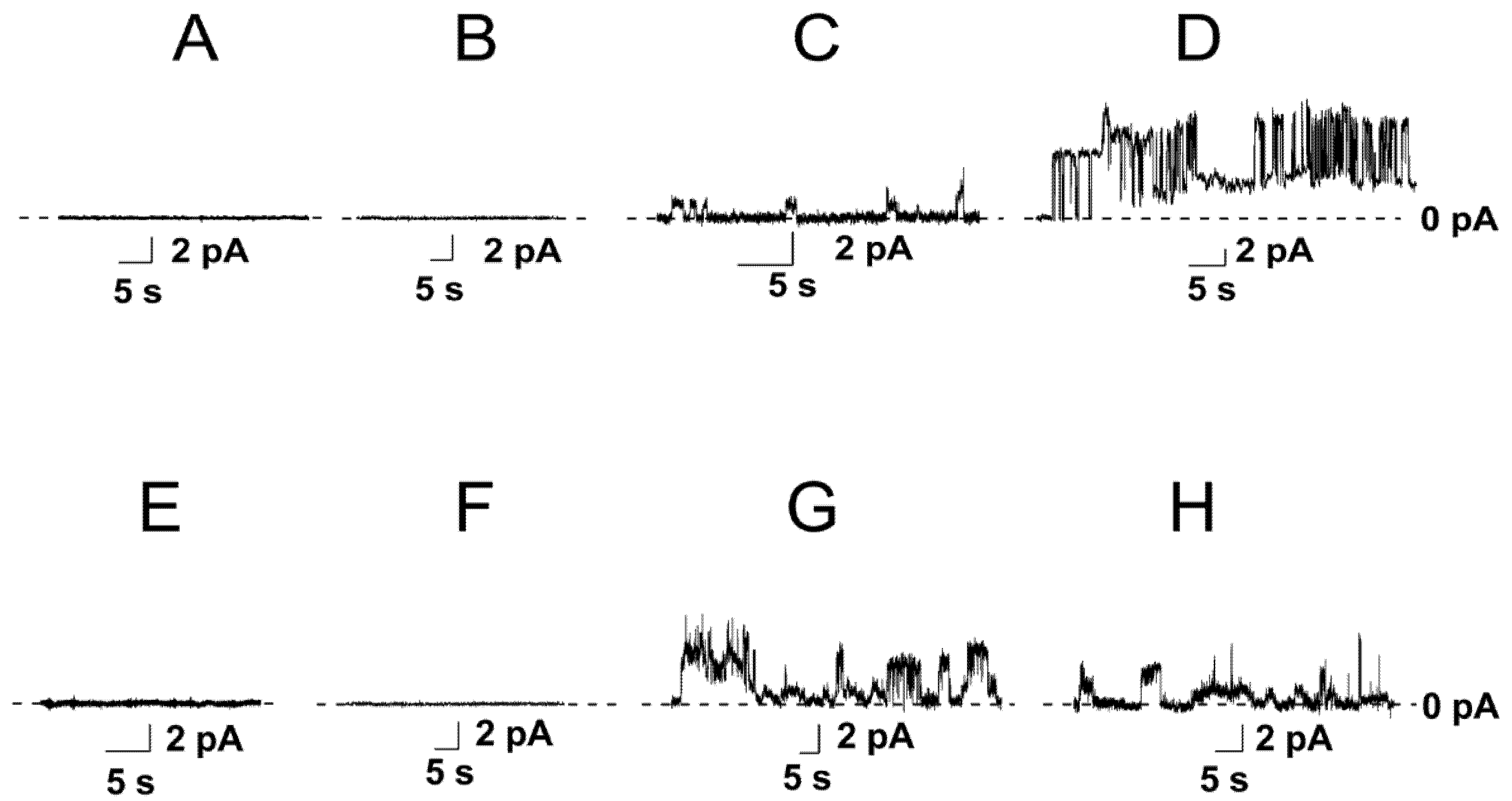 Membranes 12 01166 g001
