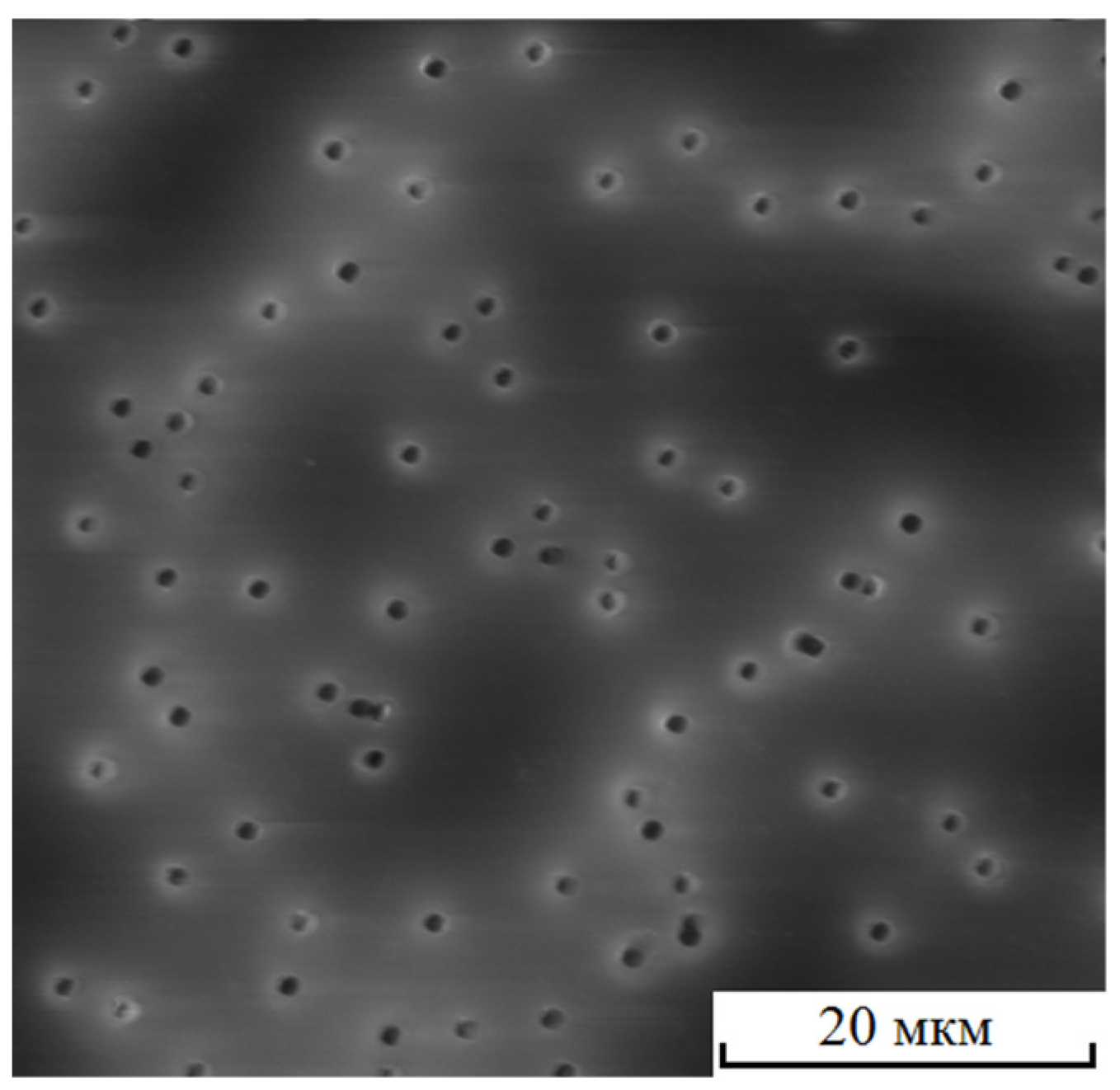 Membranes 12 01168 g008 Membranes 12 01168 g008