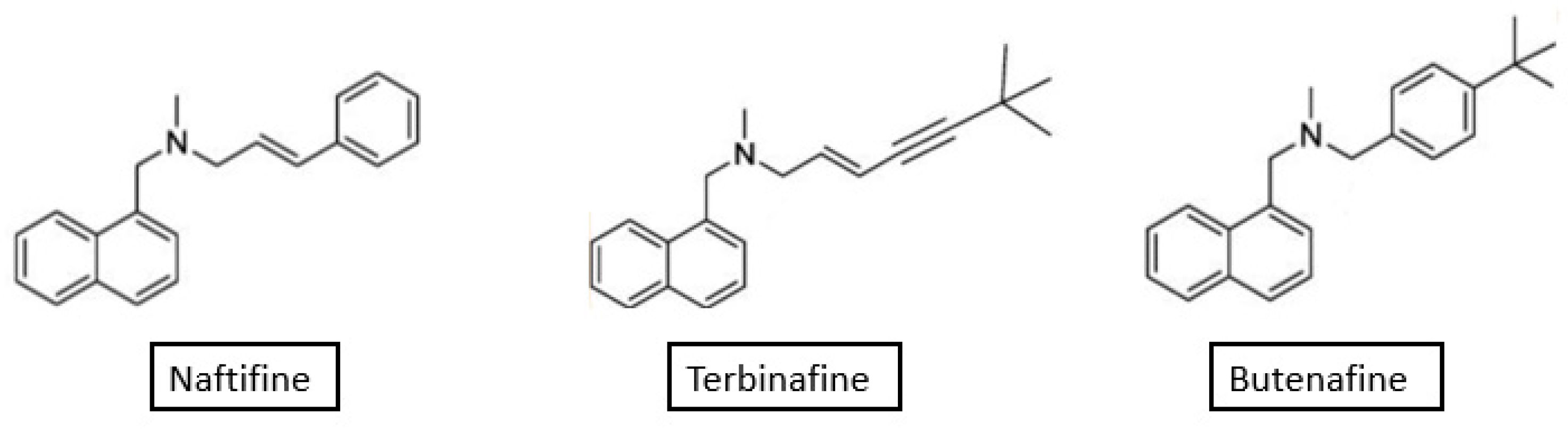Allylamines, Benzylamines, and Fungal Cell Permeability: A