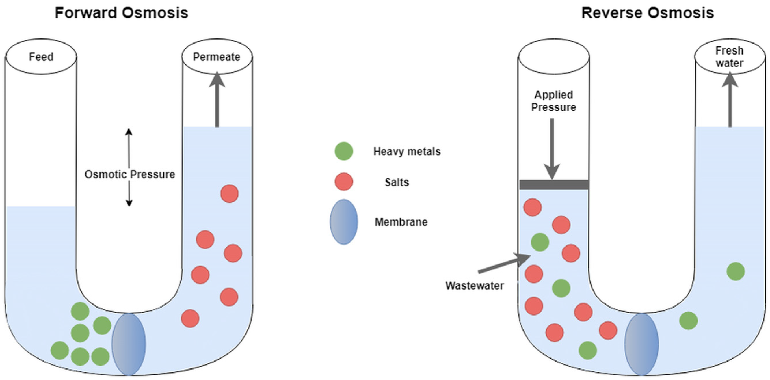 Membranes 12 01179 g005