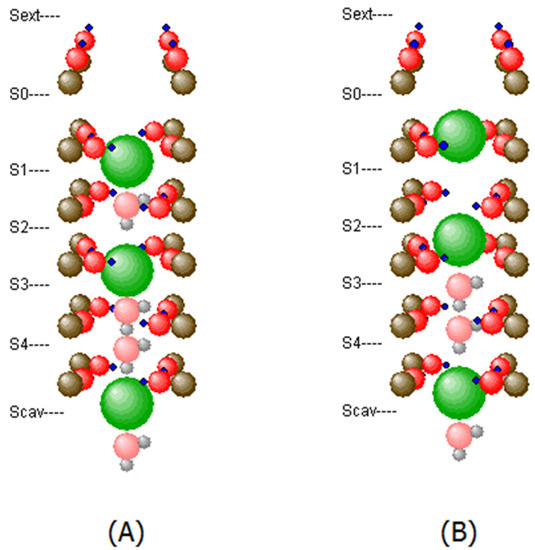 Membranes | Free Full-Text | The Optimized Conformation Dynamics of the ...