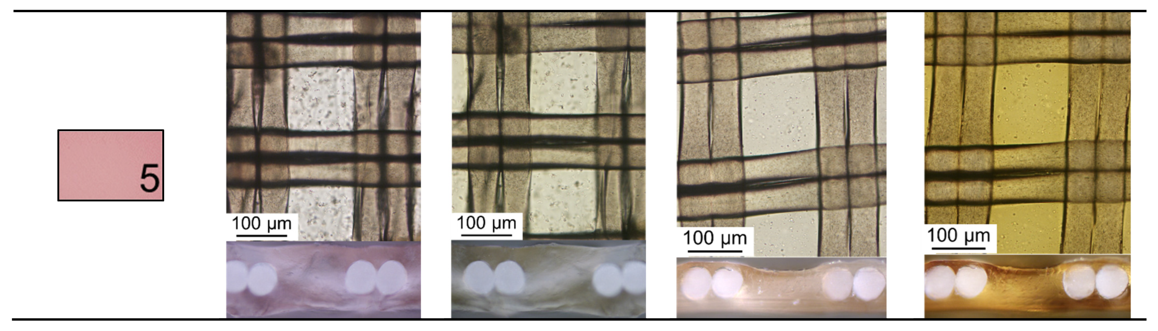 Membranes 12 01187 g006b
