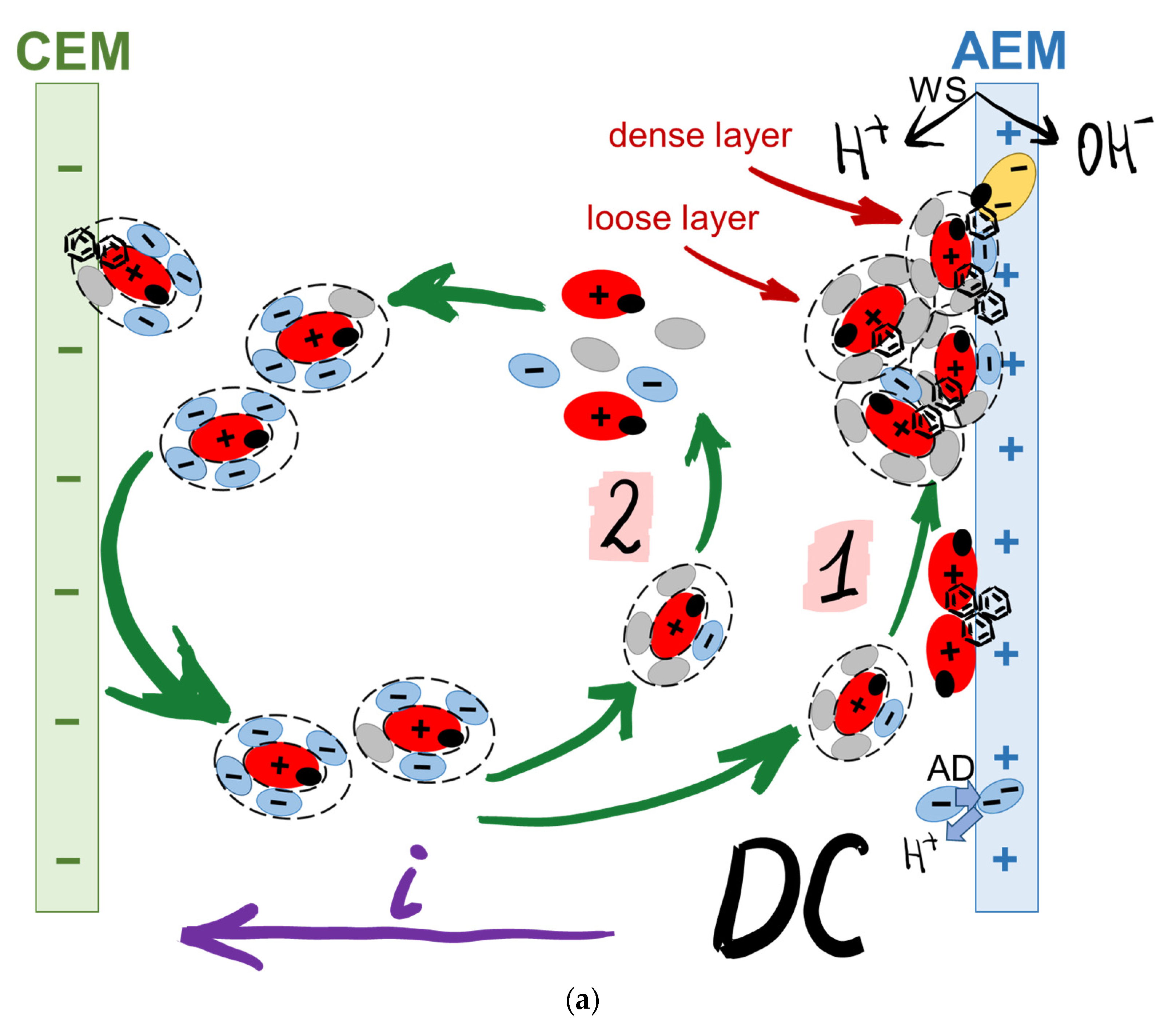 Membranes 12 01187 g010a