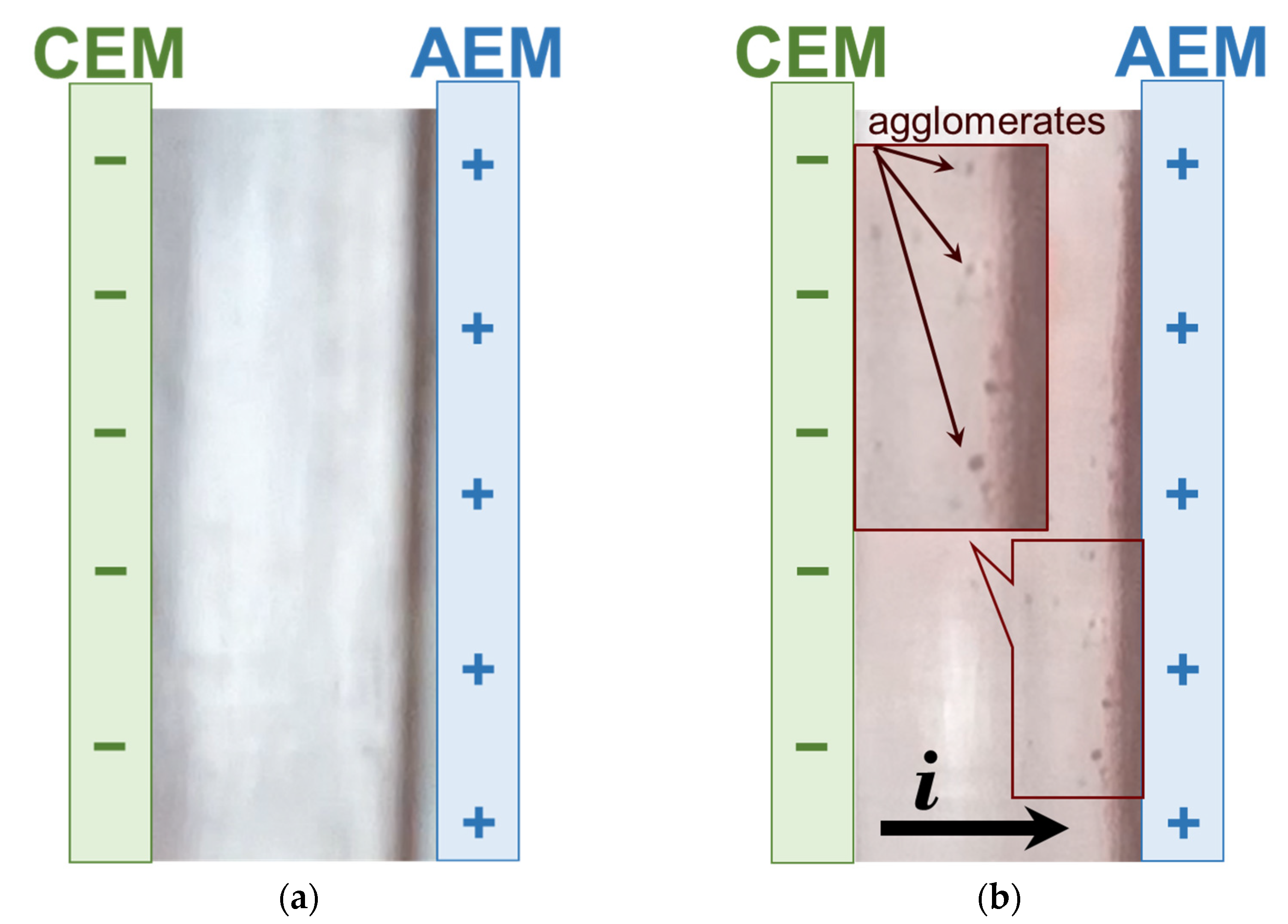 Membranes 12 01187 g012