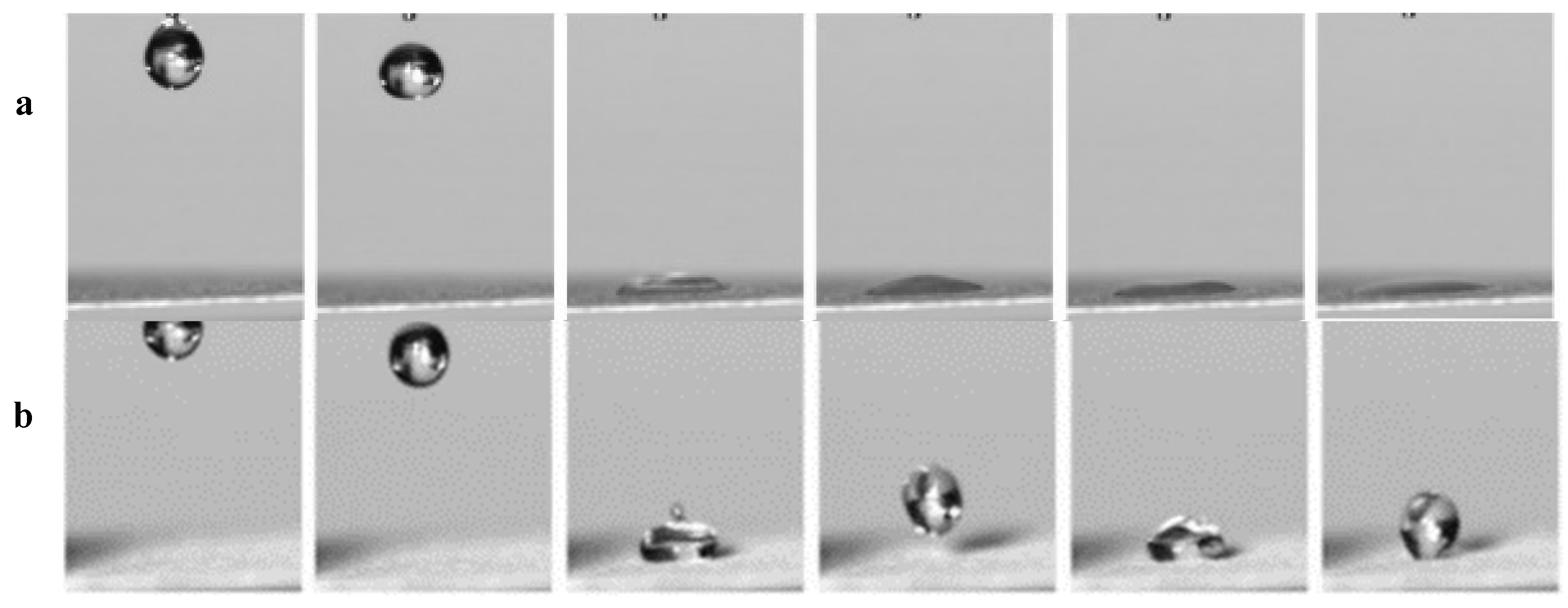 Membranes 12 01188 g002