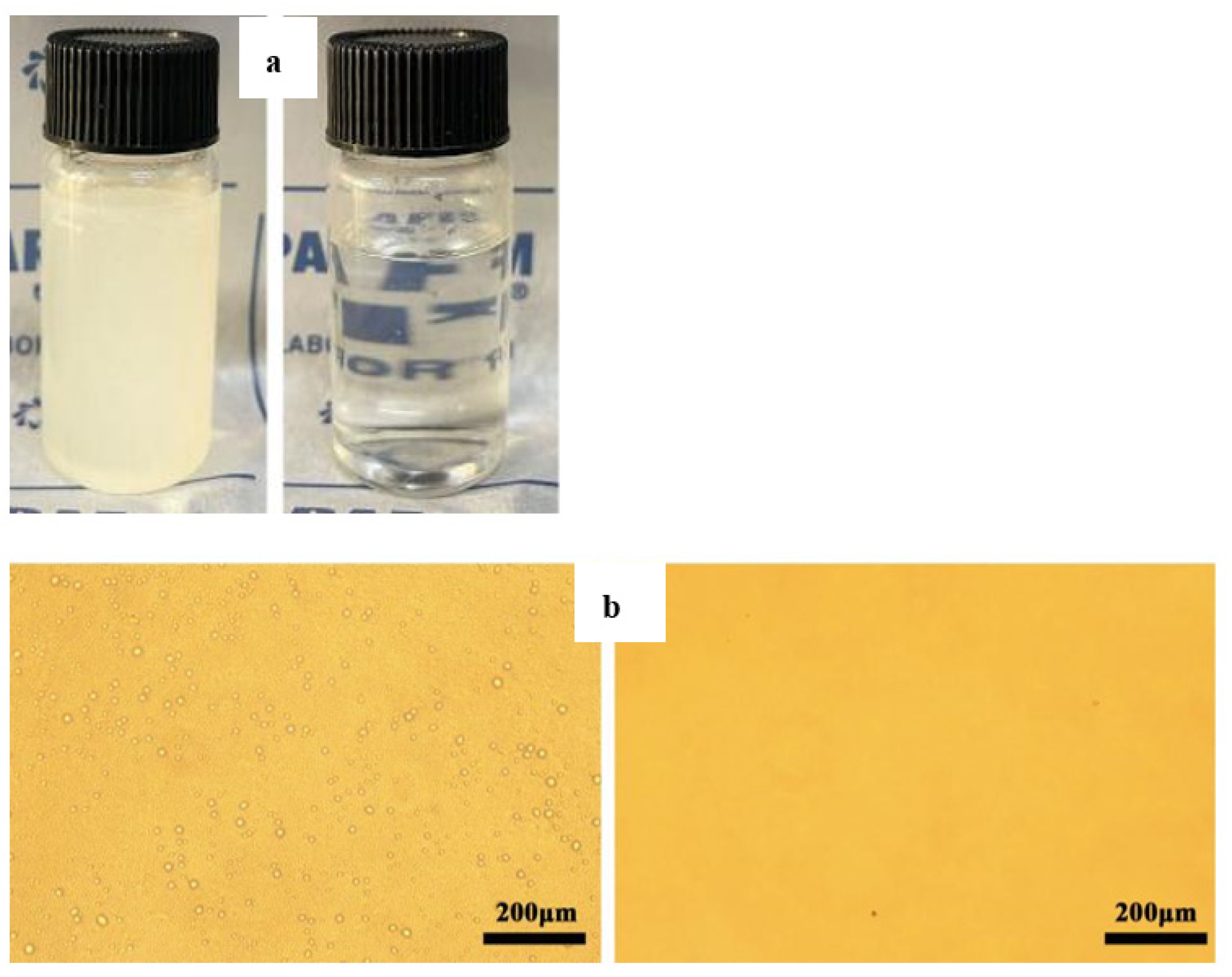 Membranes 12 01188 g005