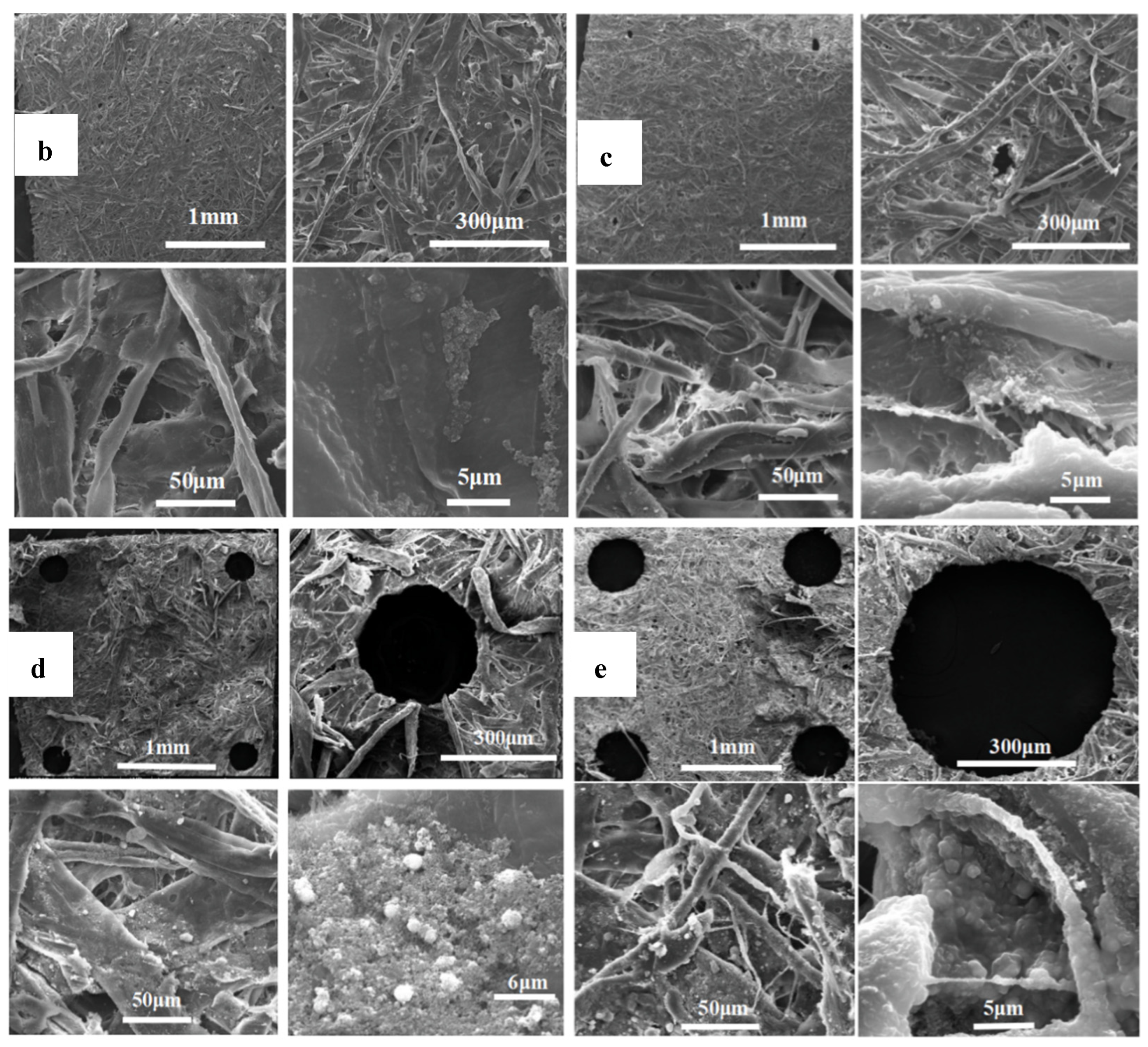 Membranes 12 01188 g006b