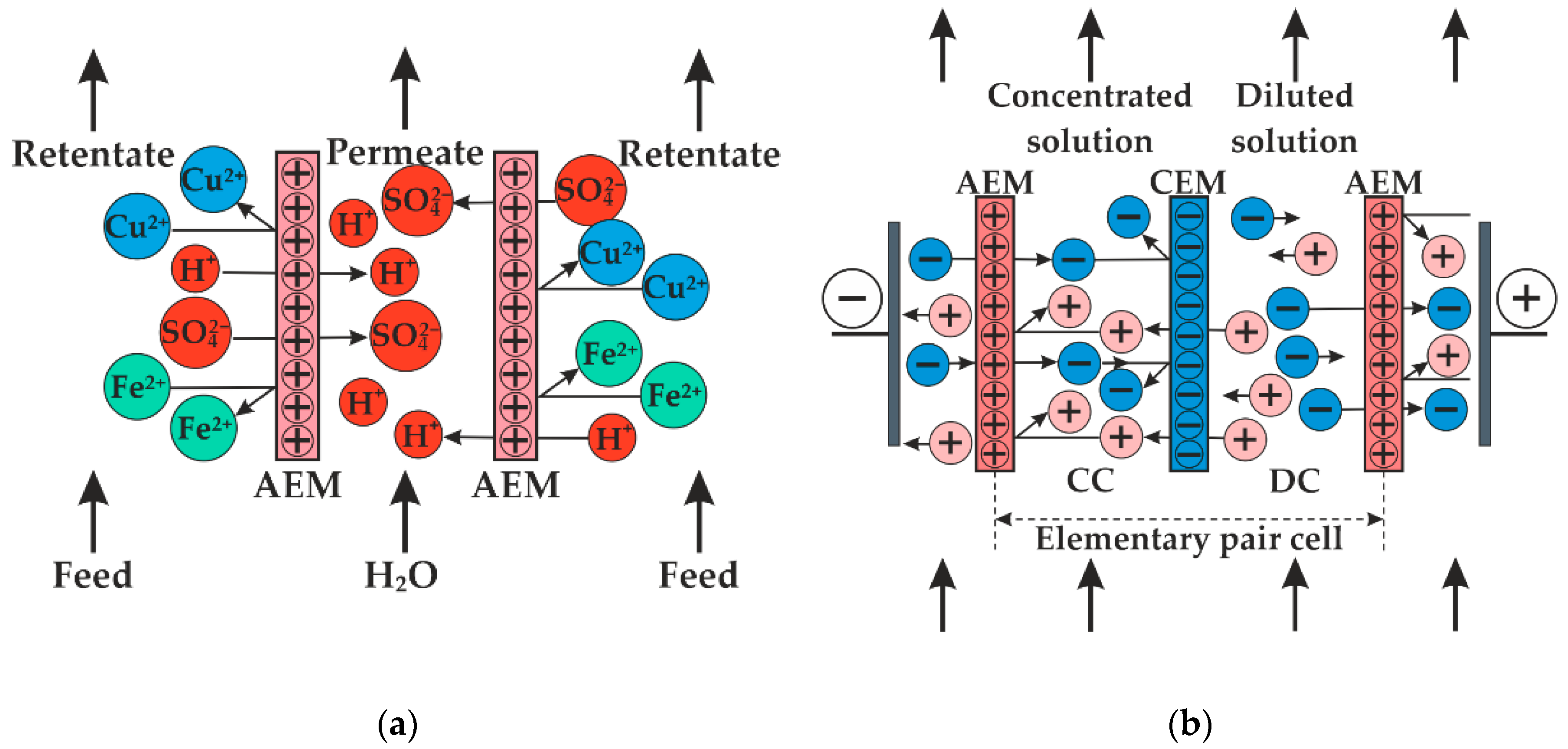Membranes 12 01196 g001