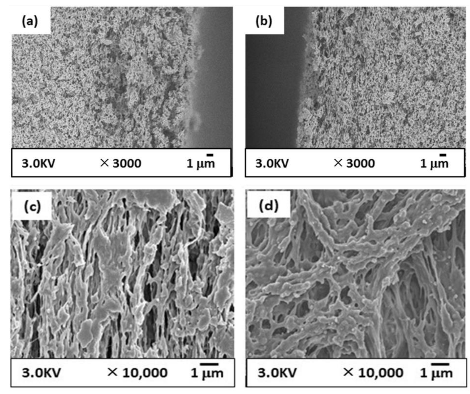 Membranes 12 01199 g004