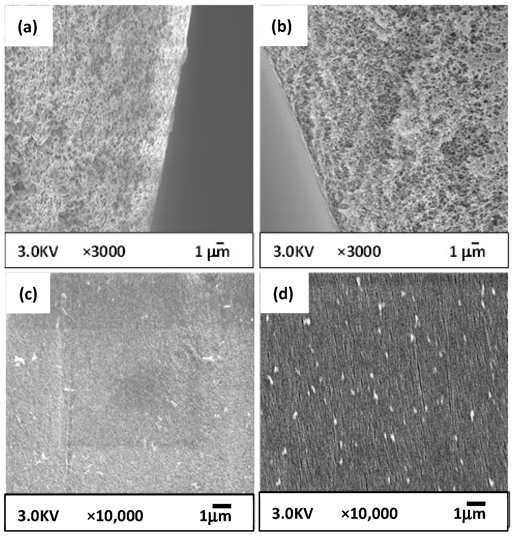 Membranes 12 01199 g005