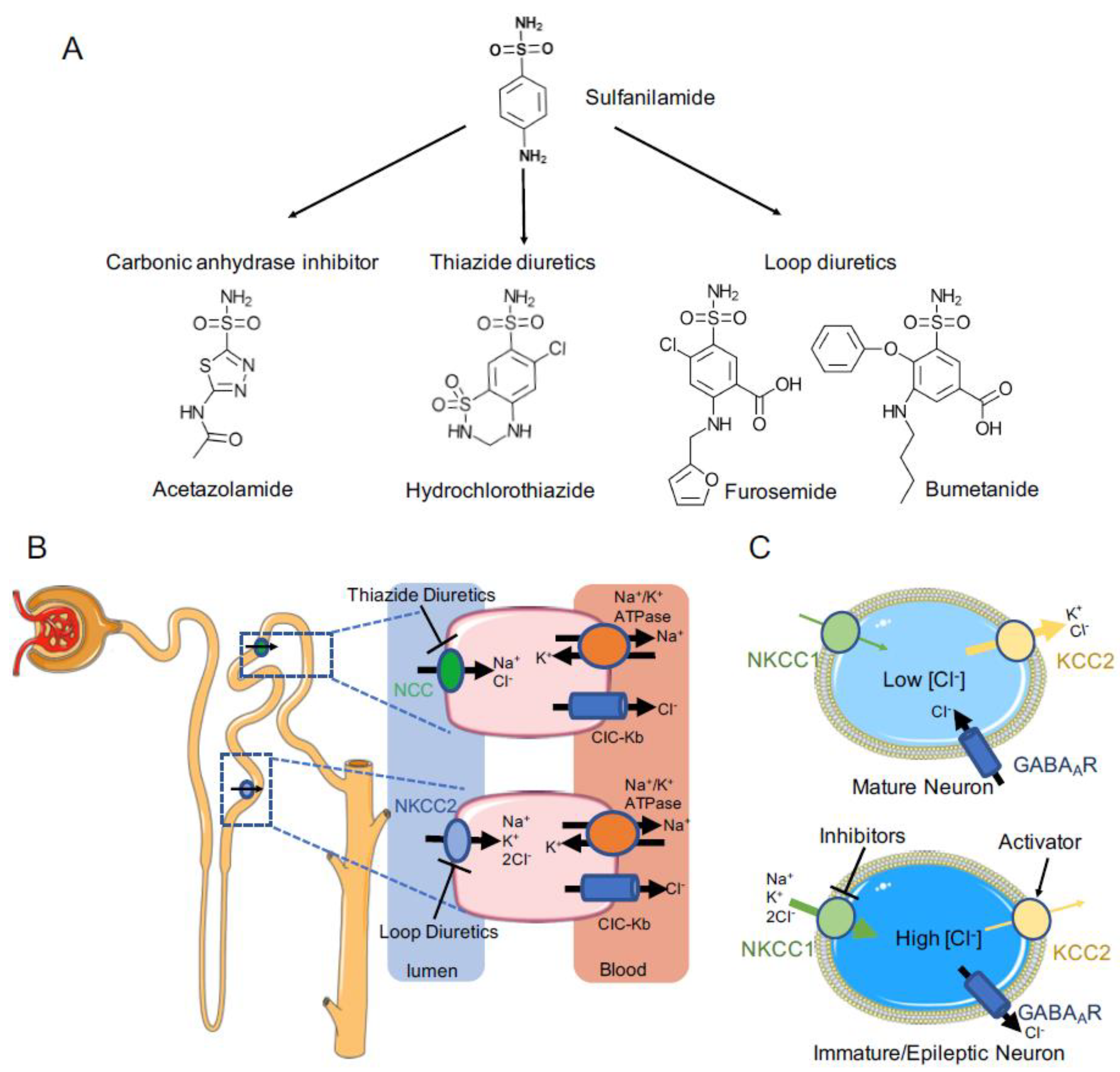 Membranes 12 01206 g001