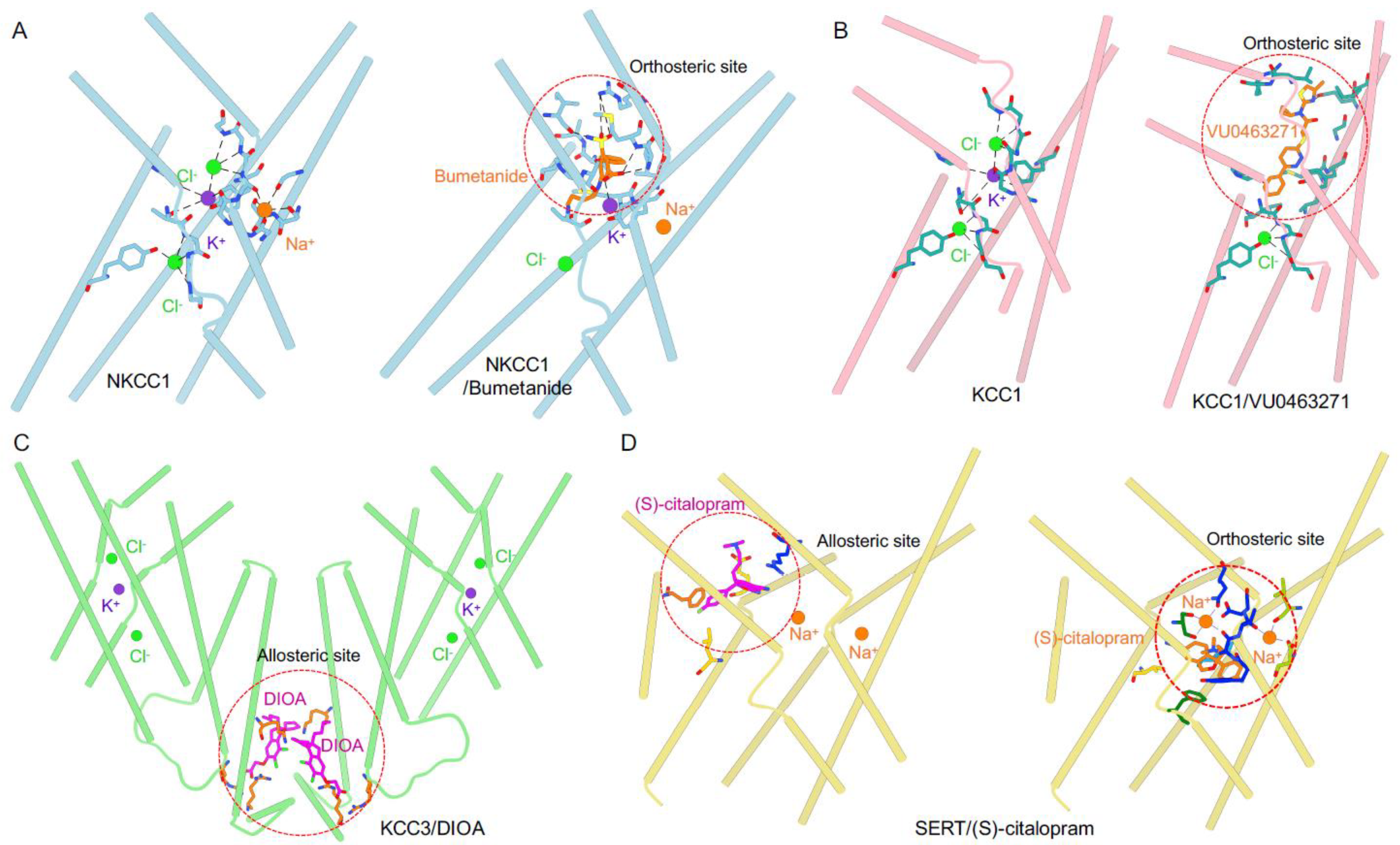 Membranes 12 01206 g003