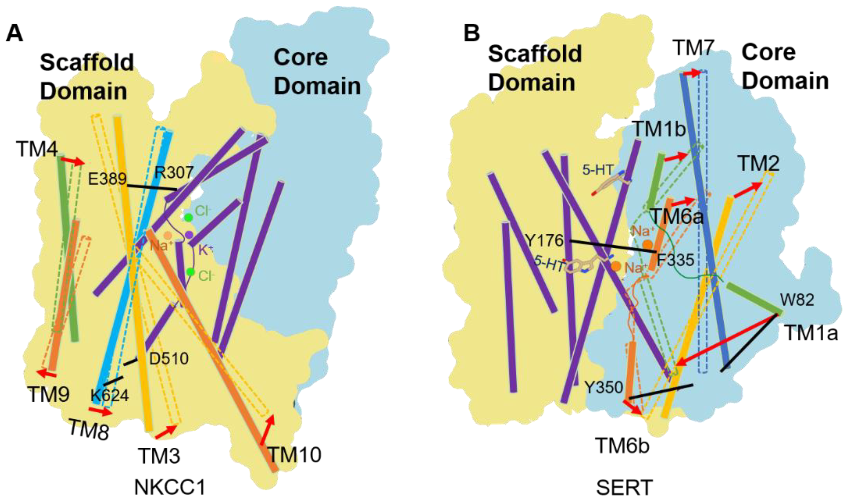 Membranes 12 01206 g004