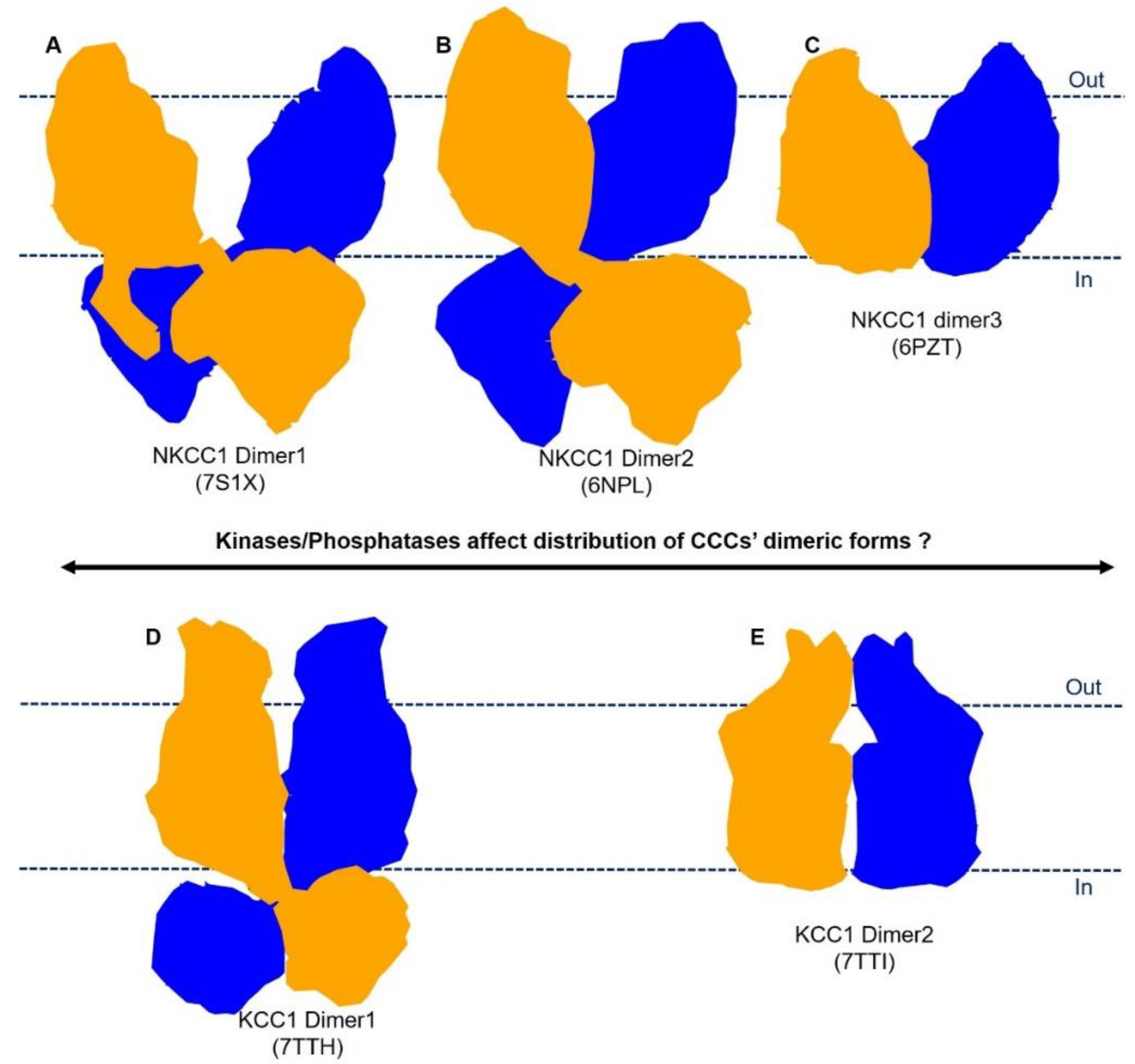 Membranes 12 01206 g005