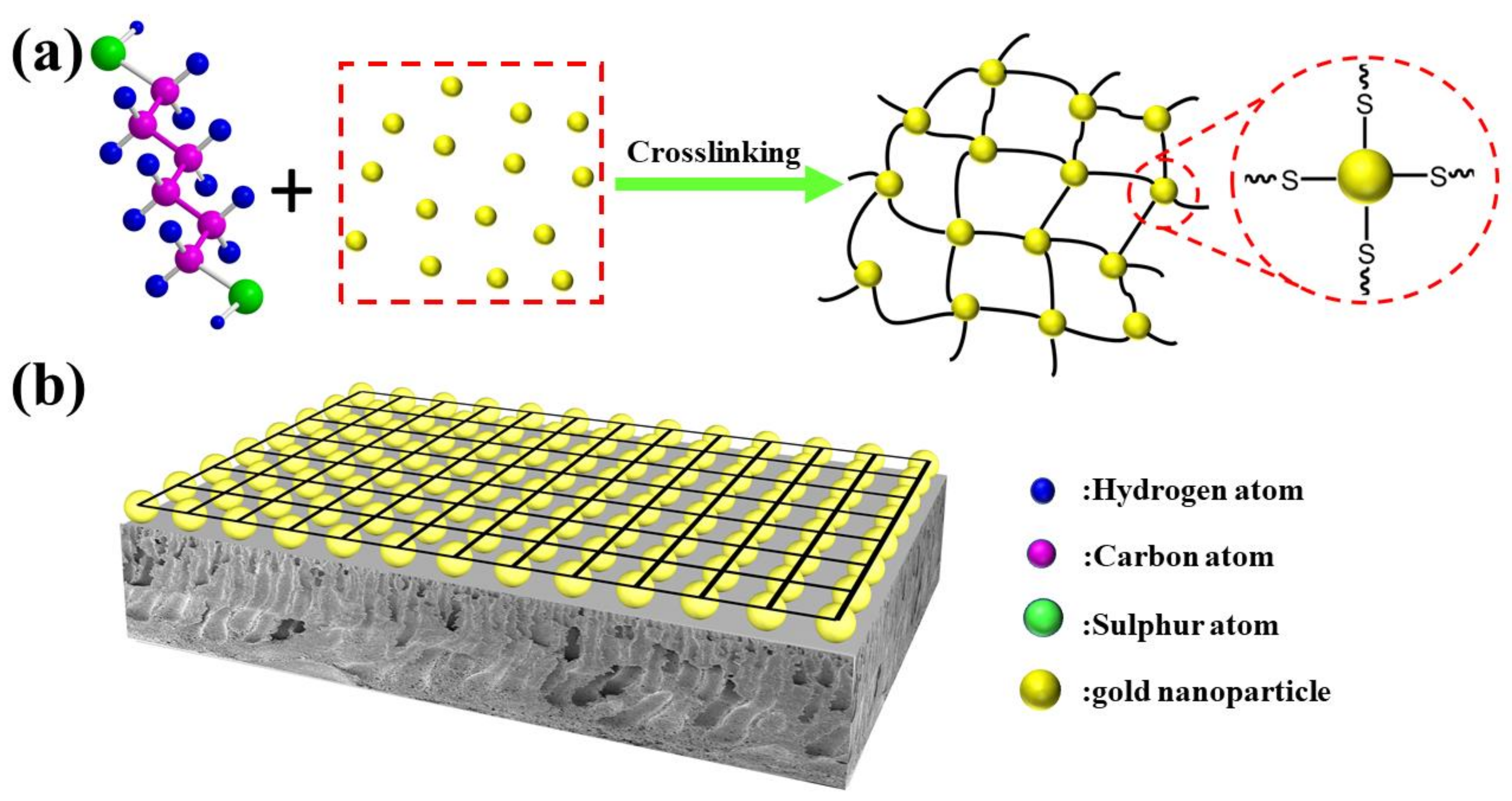 Membranes 12 01207 g001 Membranes 12 01207 g001