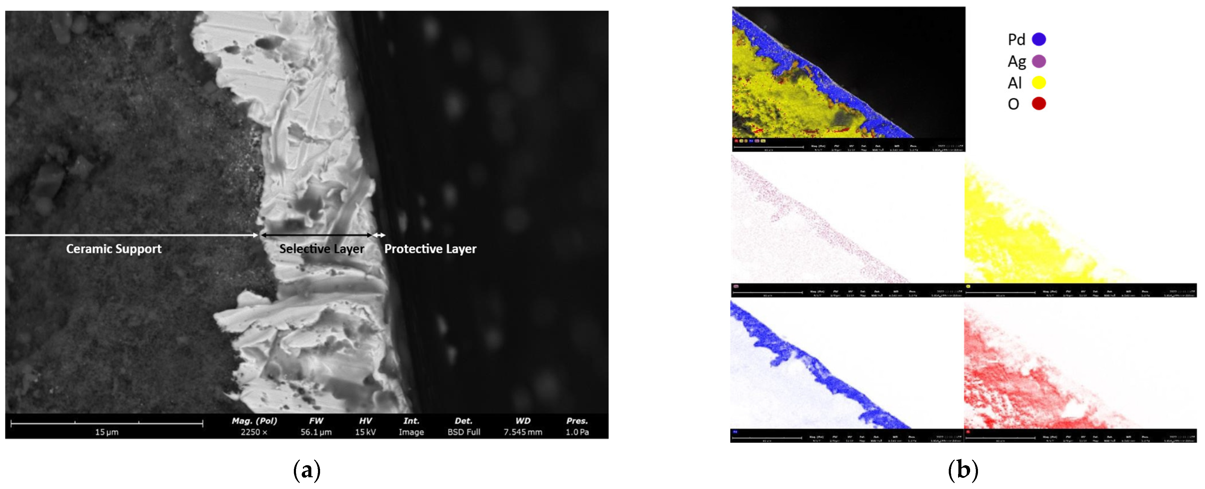 Membranes 12 01211 g003 Membranes 12 01211 g003