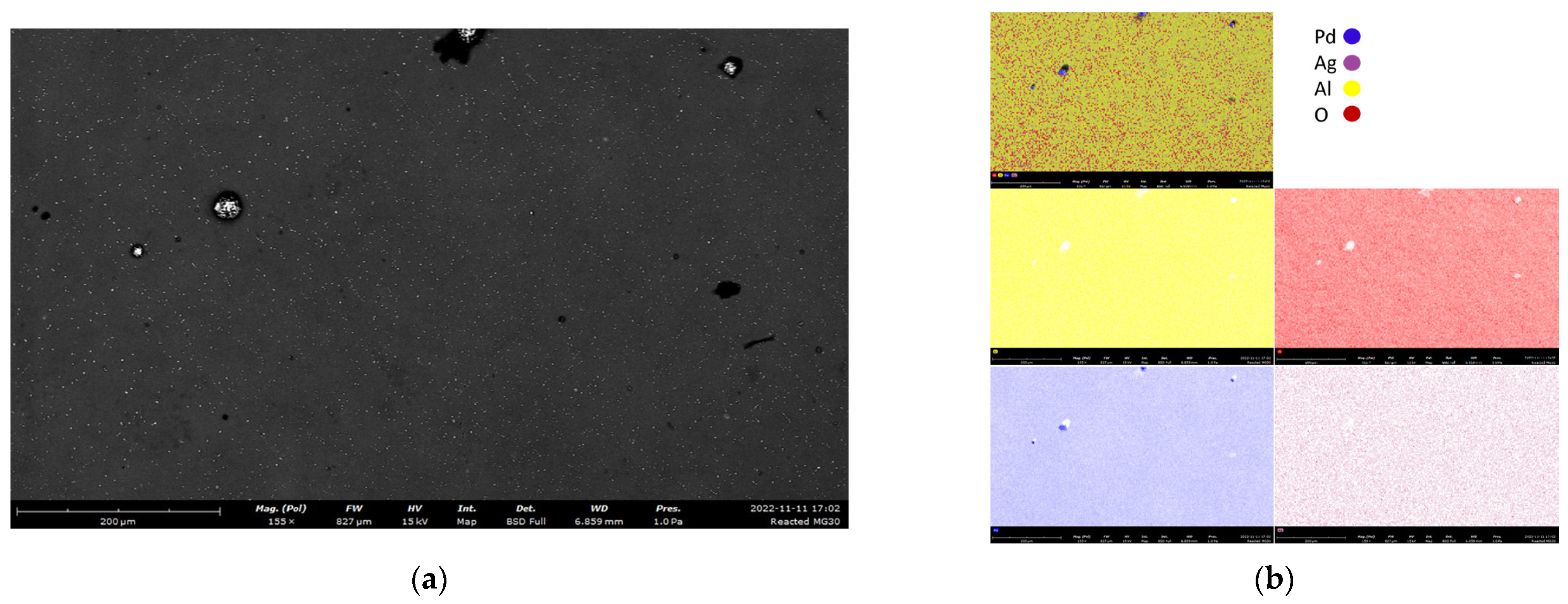 Membranes 12 01211 g004 Membranes 12 01211 g004