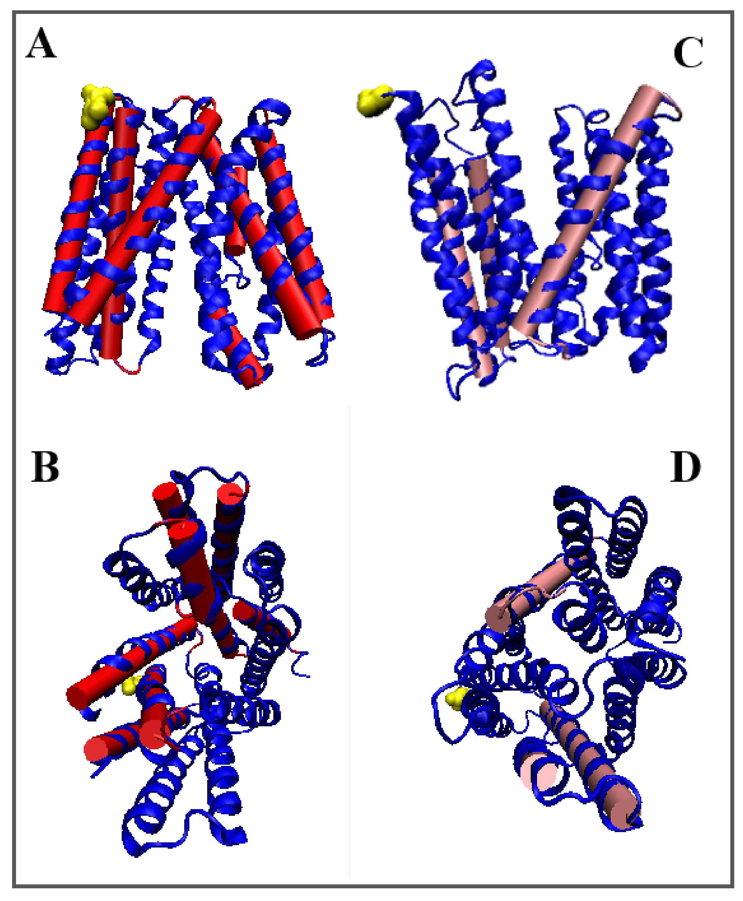 Membranes 12 01212 g002 Membranes 12 01212 g002