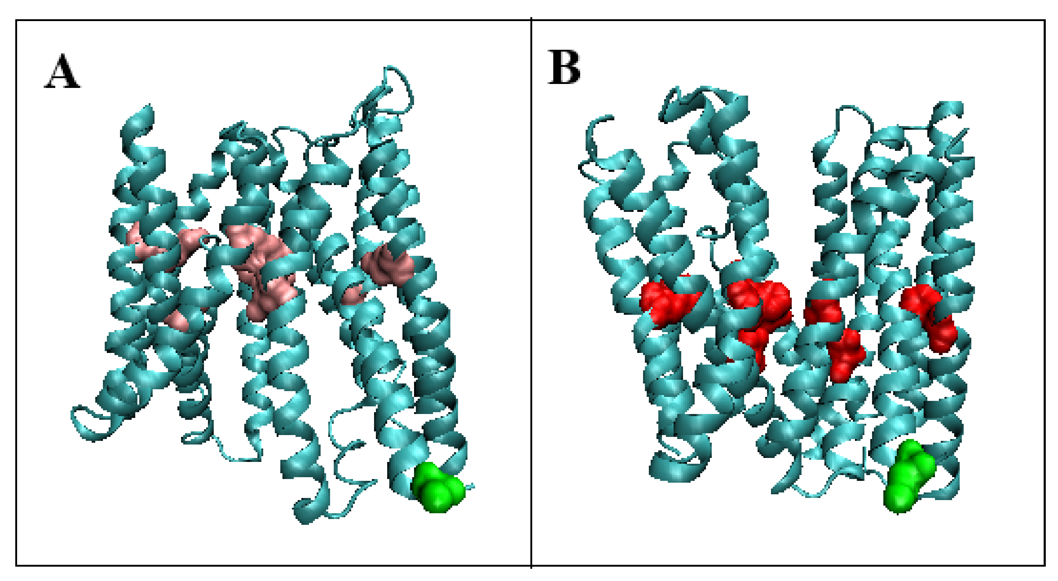 Membranes 12 01212 g003 Membranes 12 01212 g003