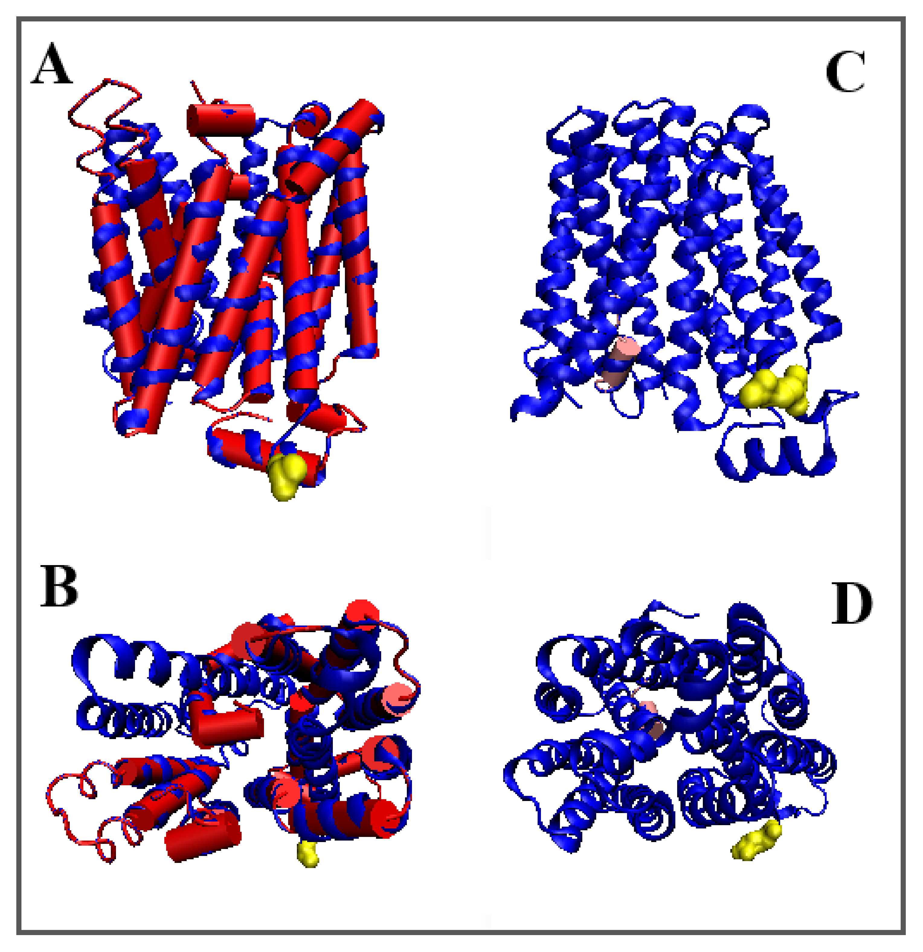 Membranes 12 01212 g005 Membranes 12 01212 g005