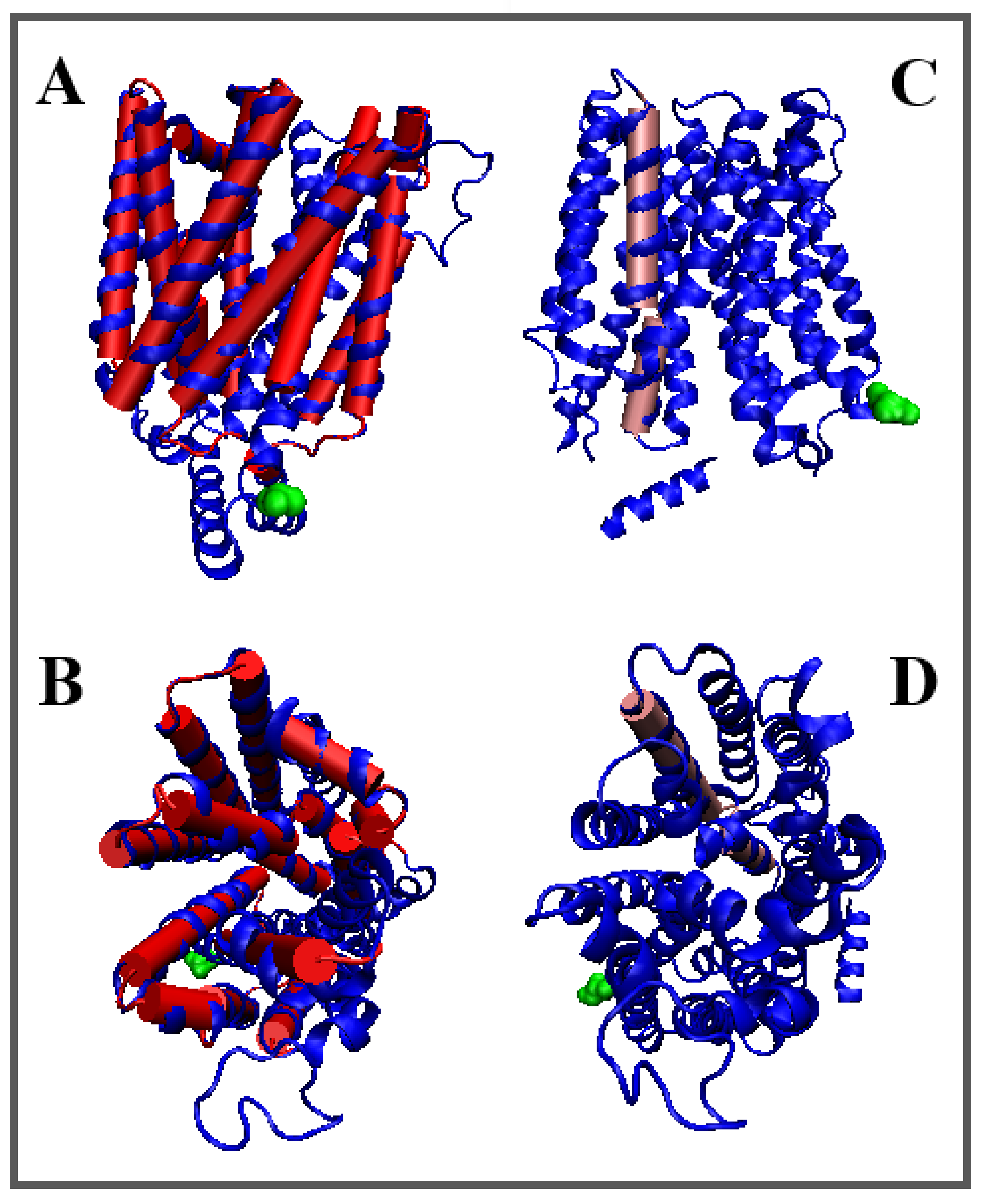 Membranes 12 01212 g007 Membranes 12 01212 g007