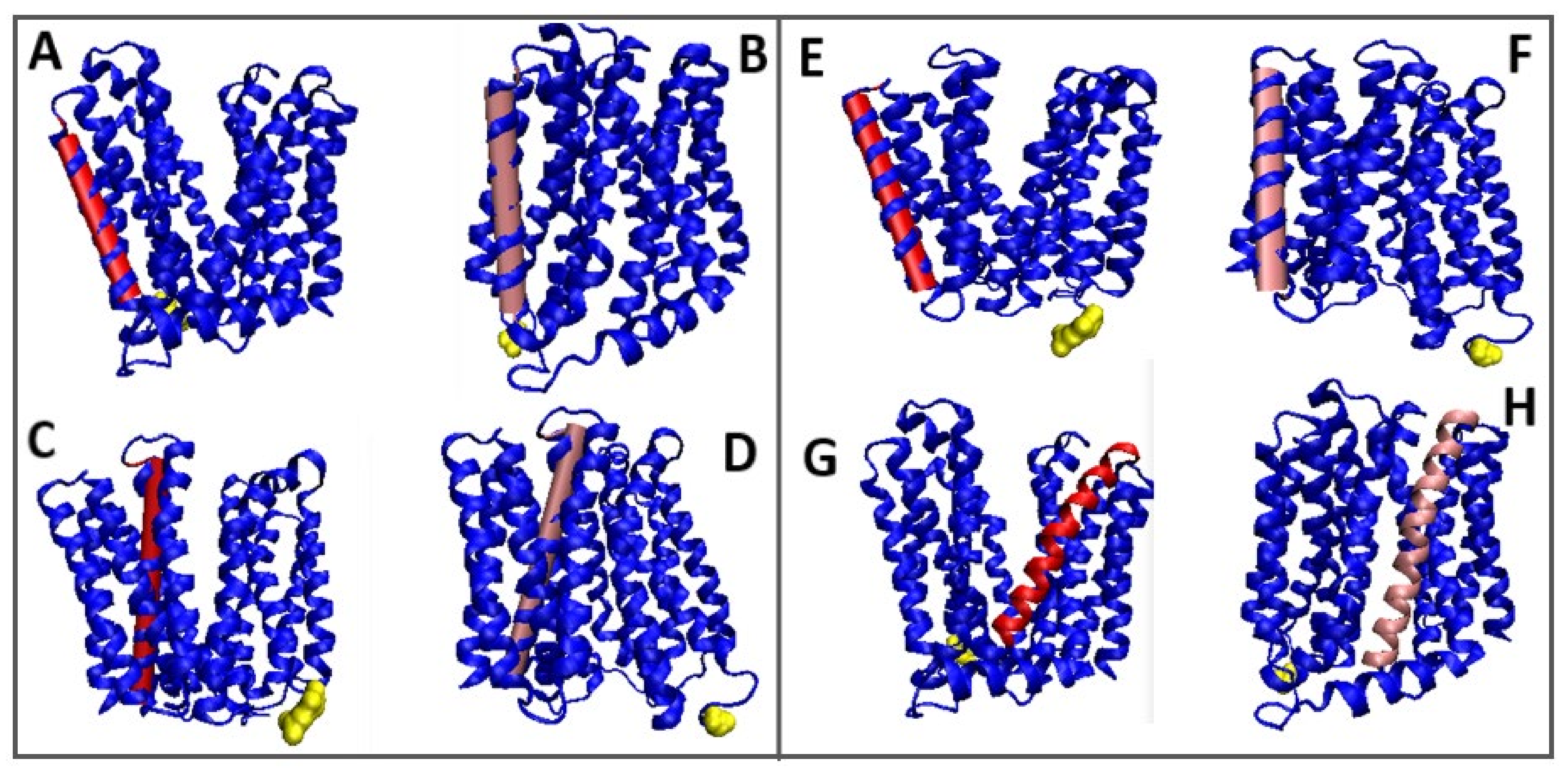 Membranes 12 01212 g009 Membranes 12 01212 g009
