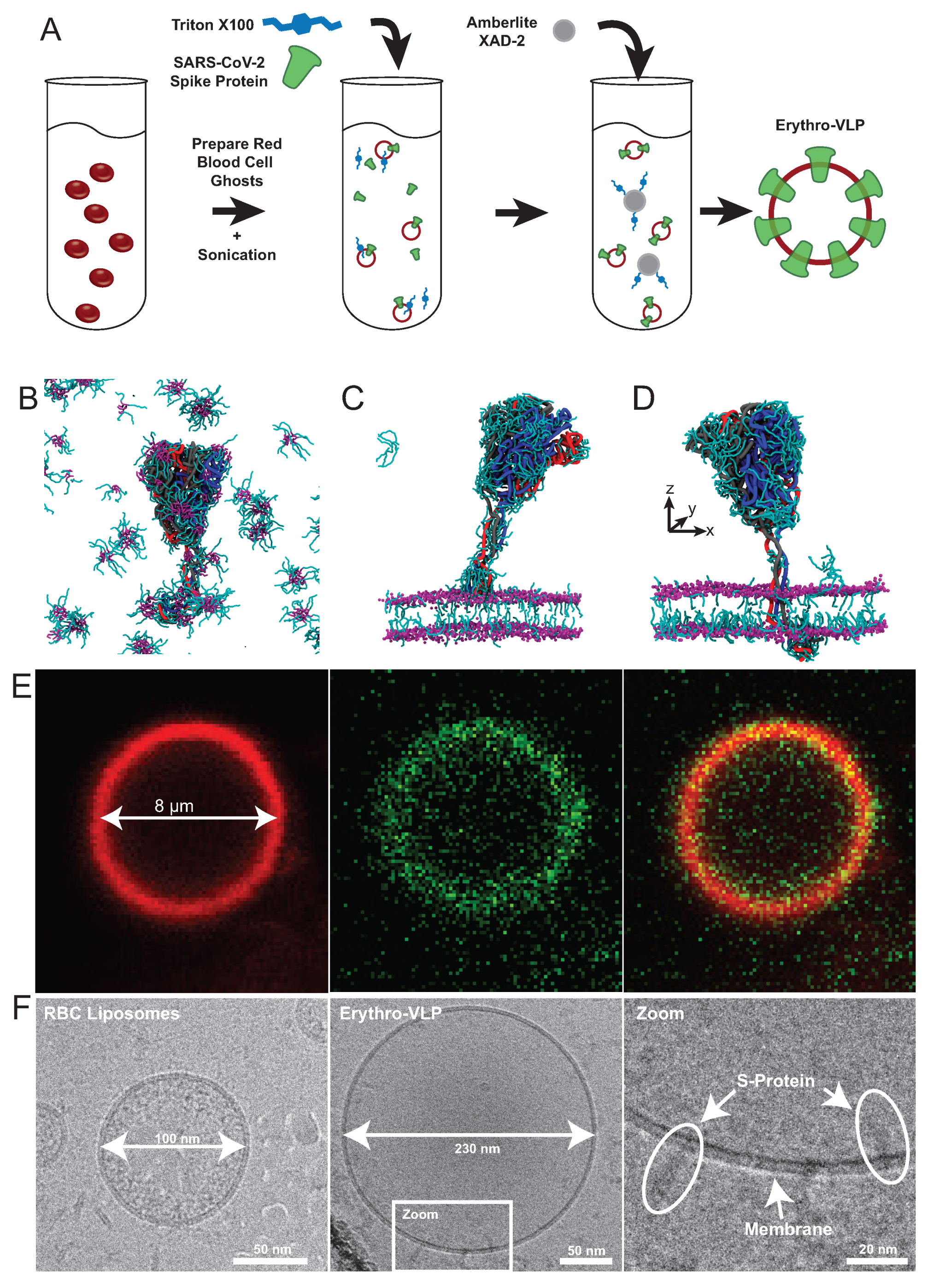 Membranes 12 01226 g003